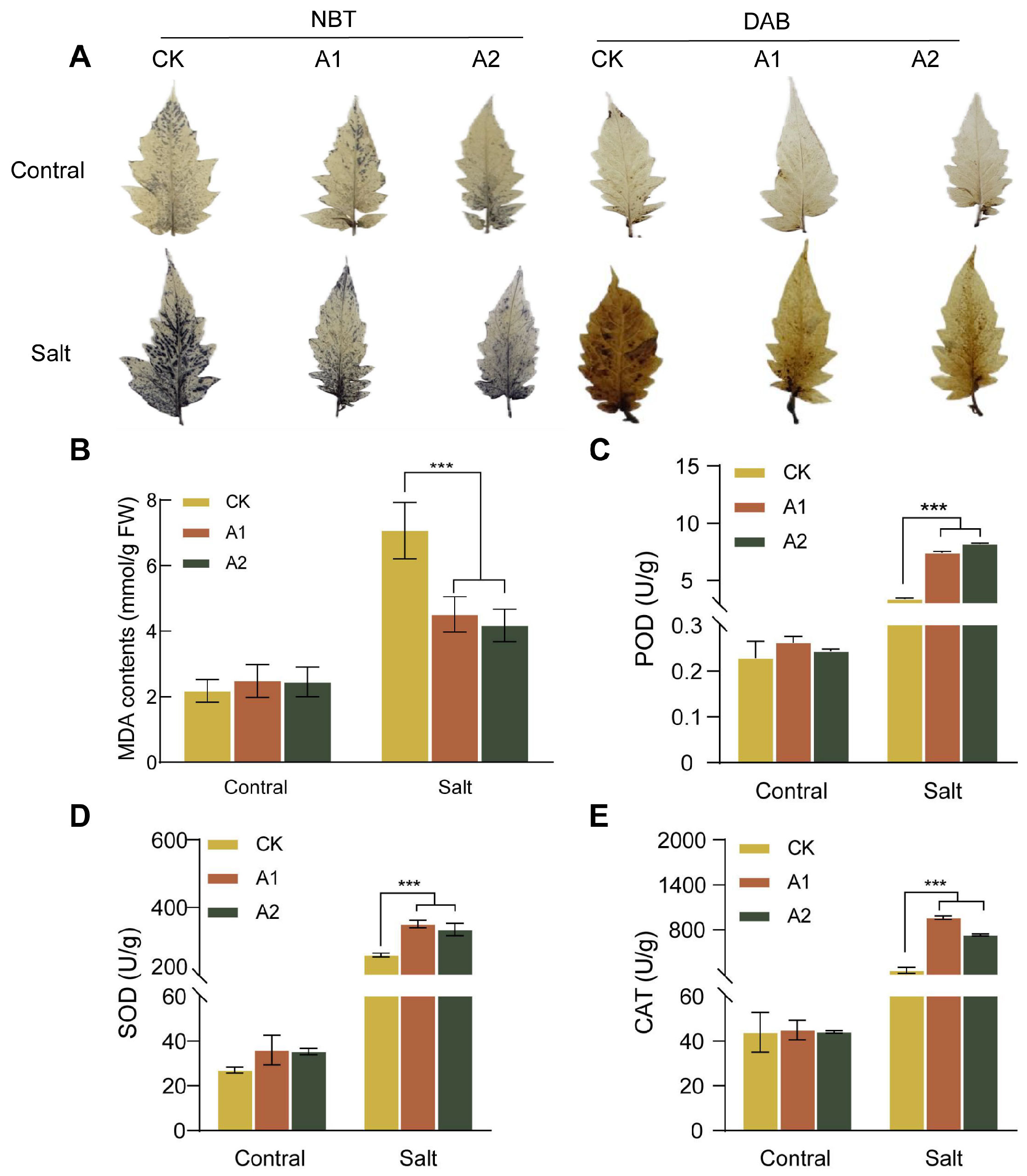 Plants 15 00175 g006