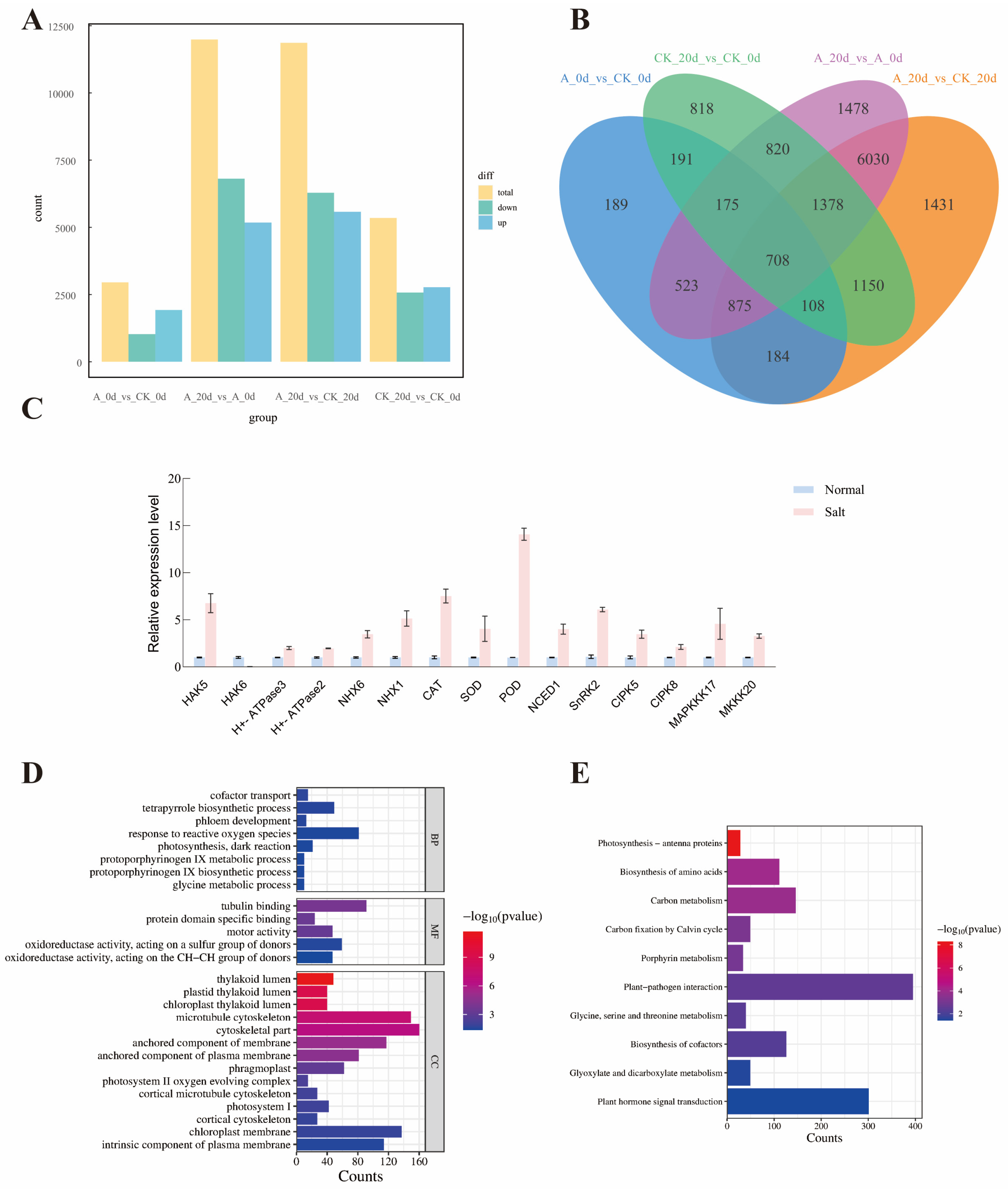 Plants 15 00175 g008