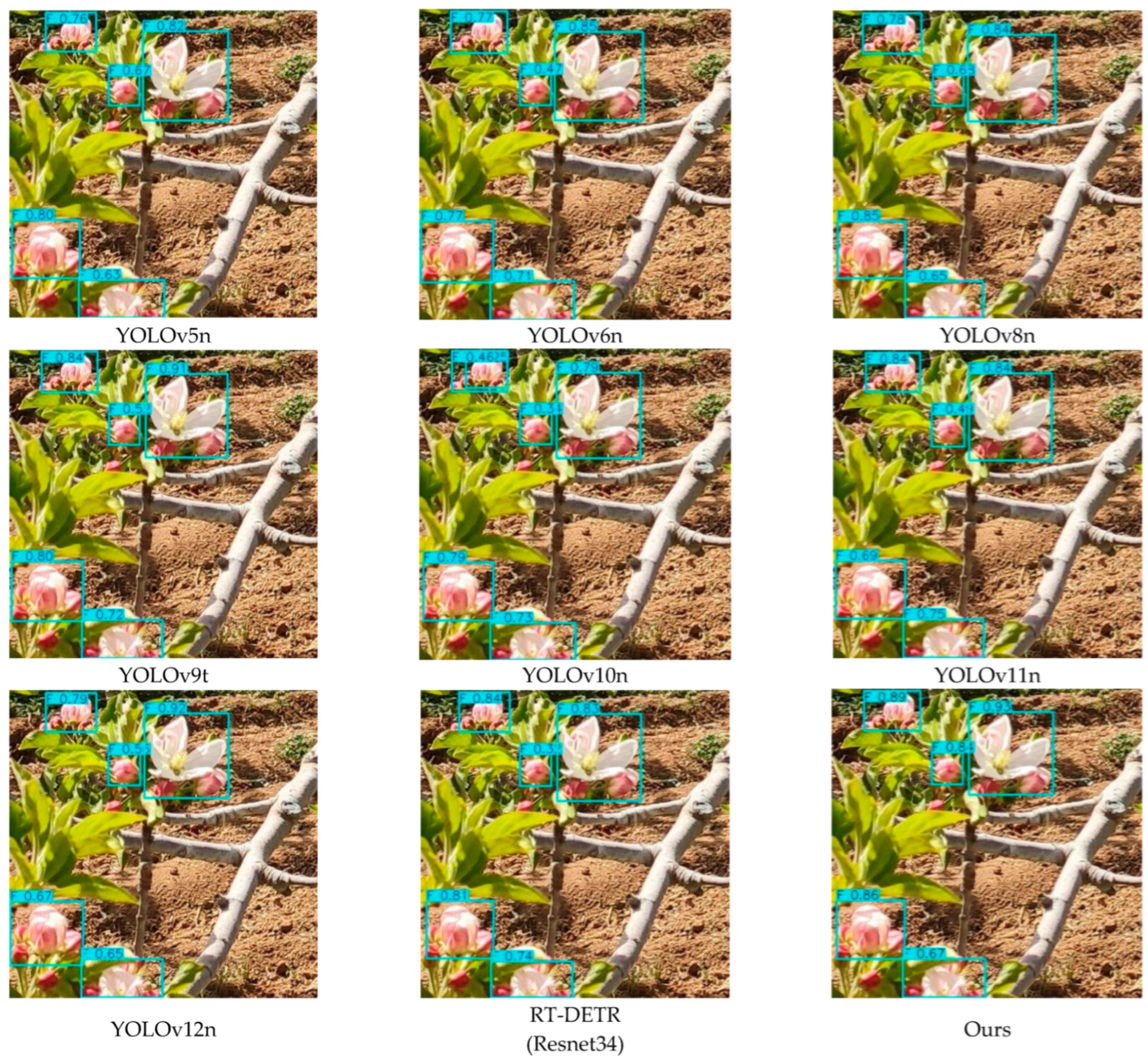 Plants 15 00213 g010 Plants 15 00213 g010