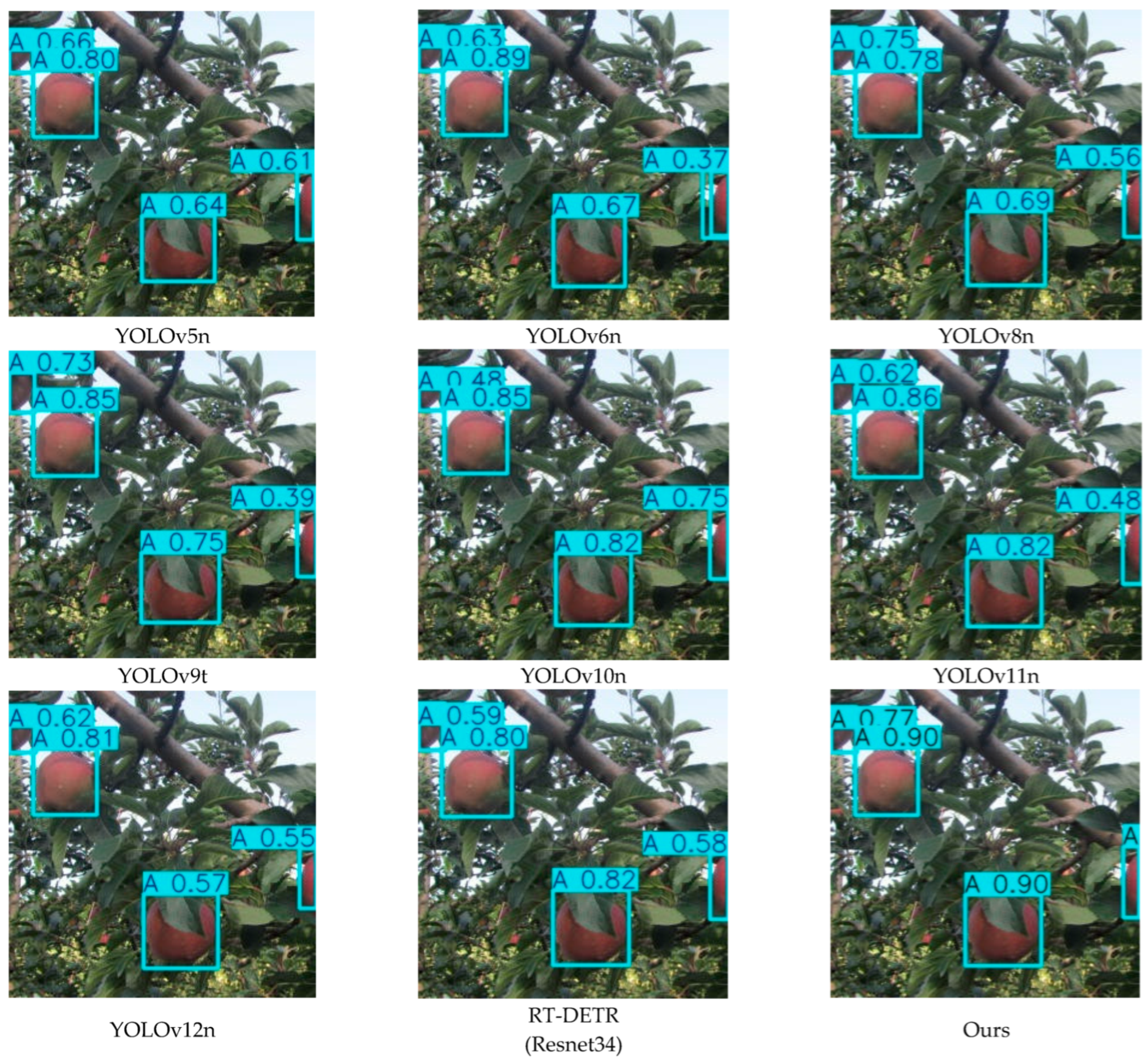 Plants 15 00213 g013 Plants 15 00213 g013