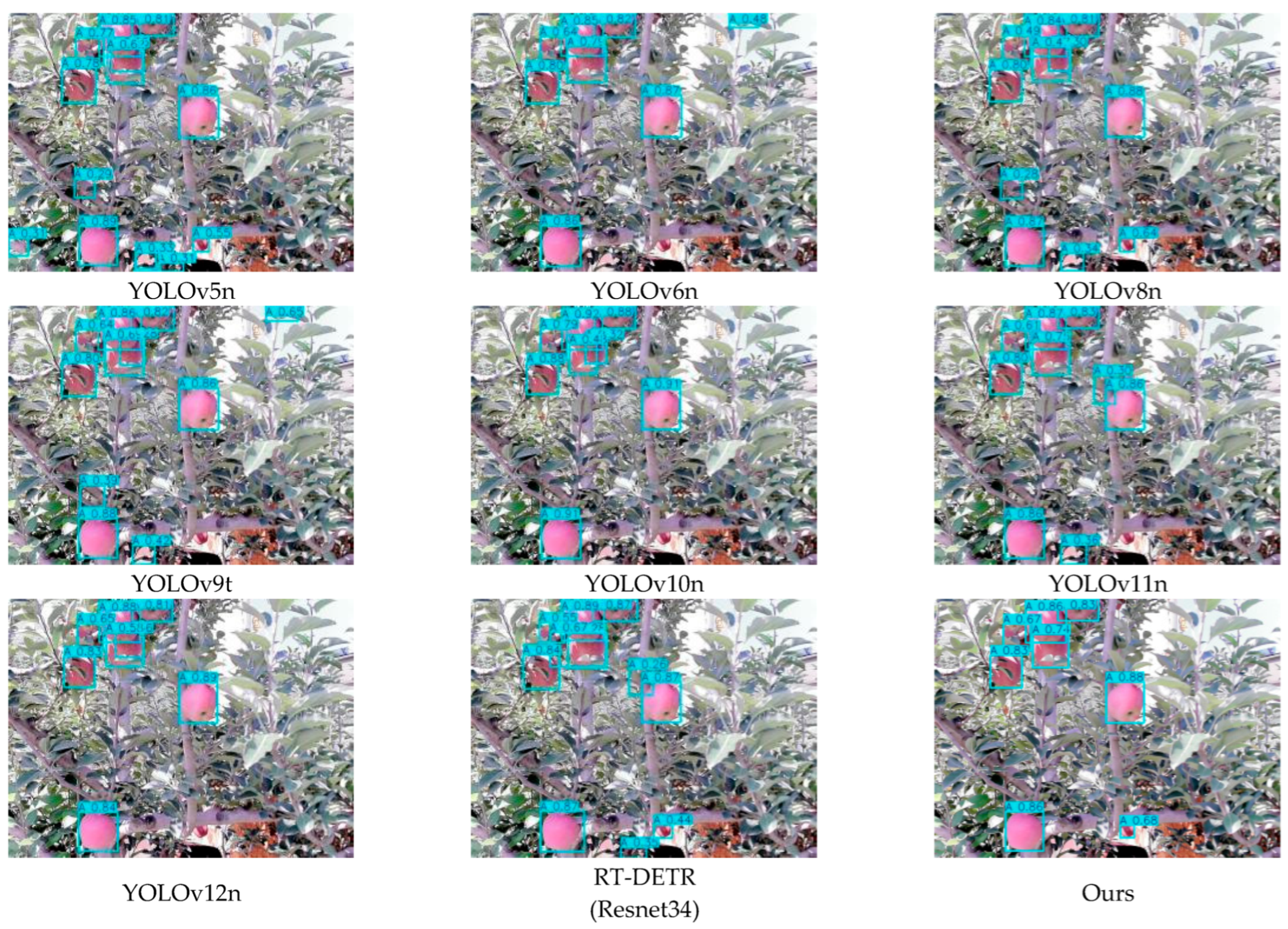 Plants 15 00213 g014 Plants 15 00213 g014