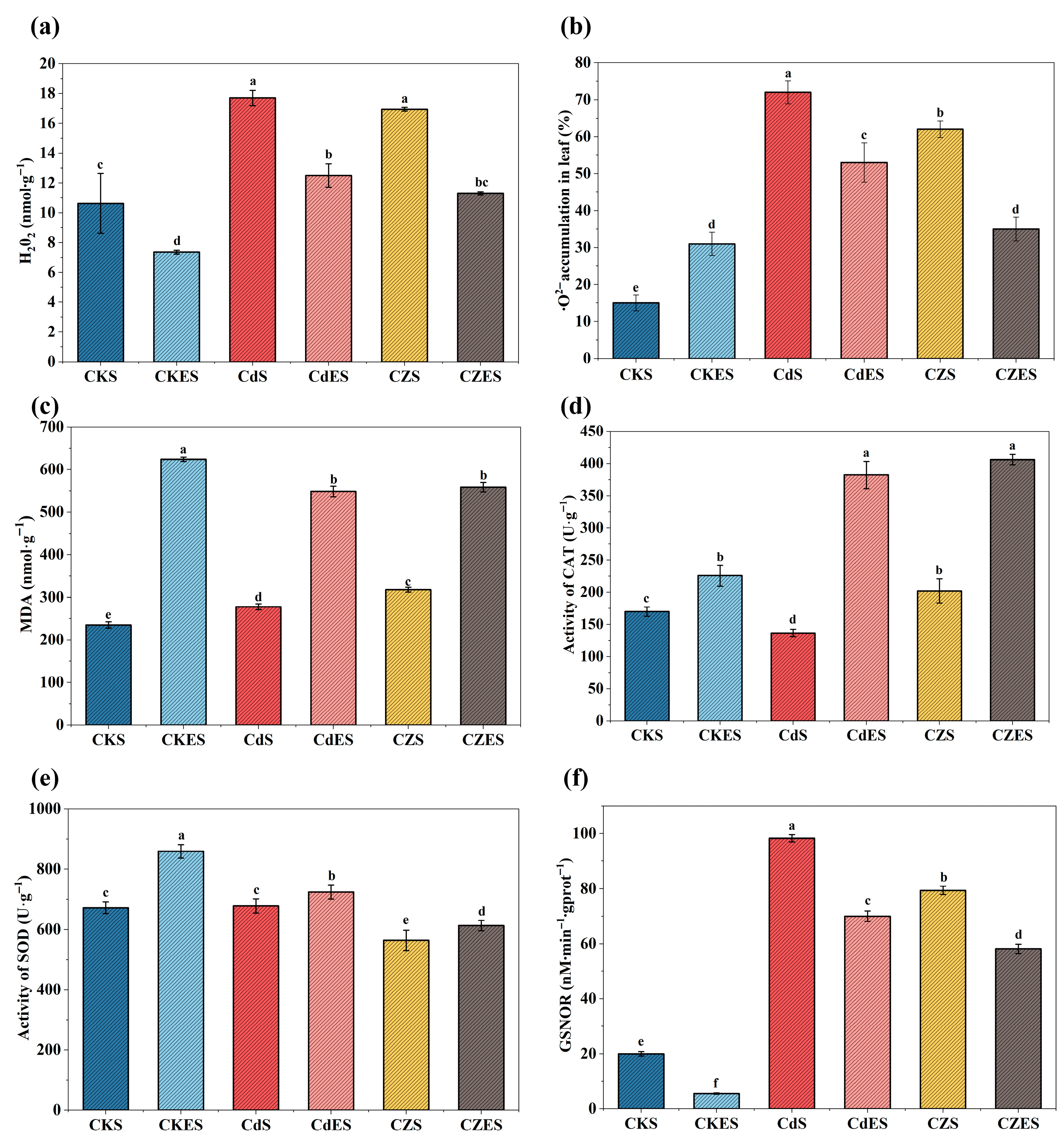 Plants 15 00231 g003