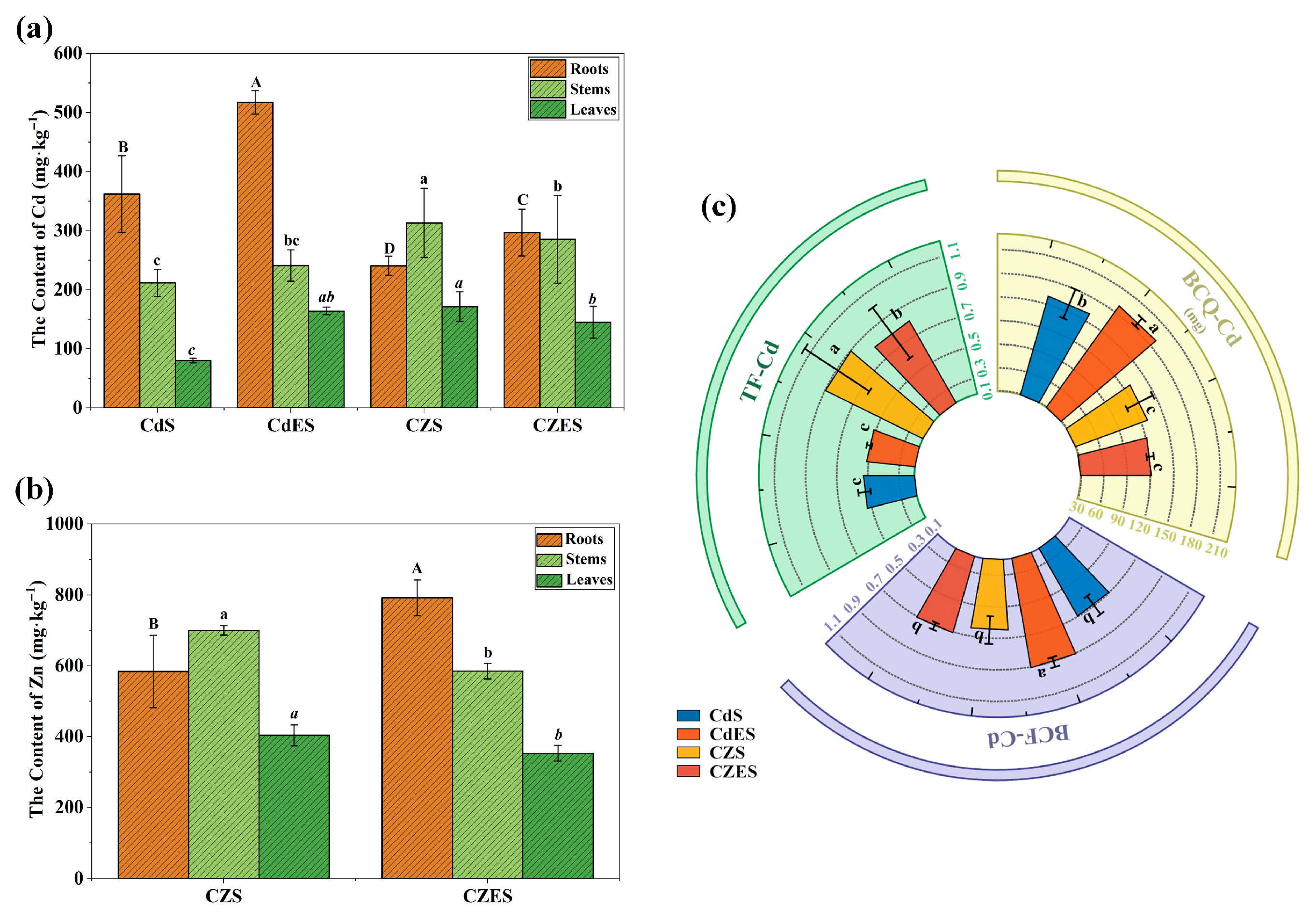 Plants 15 00231 g004