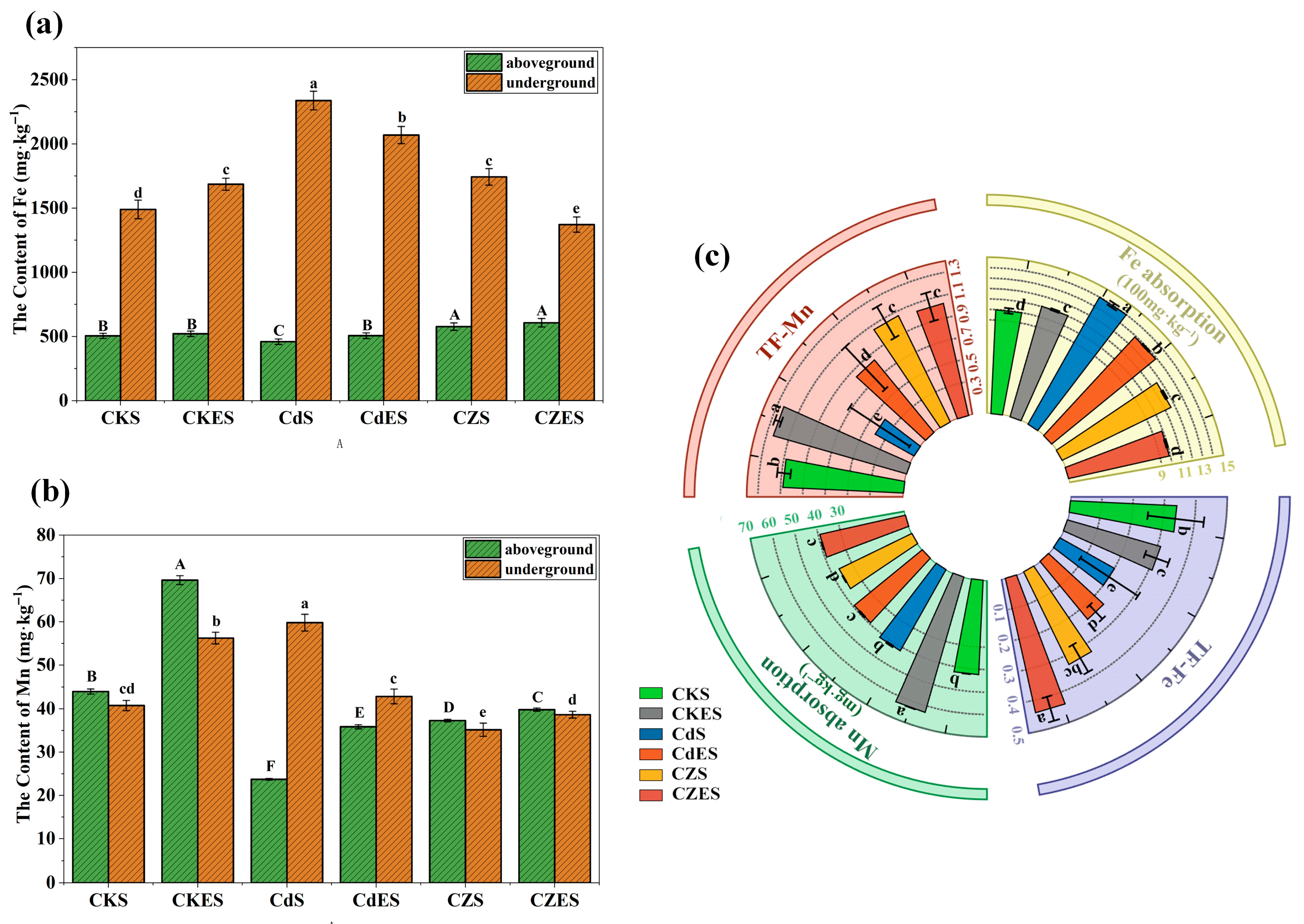 Plants 15 00231 g005