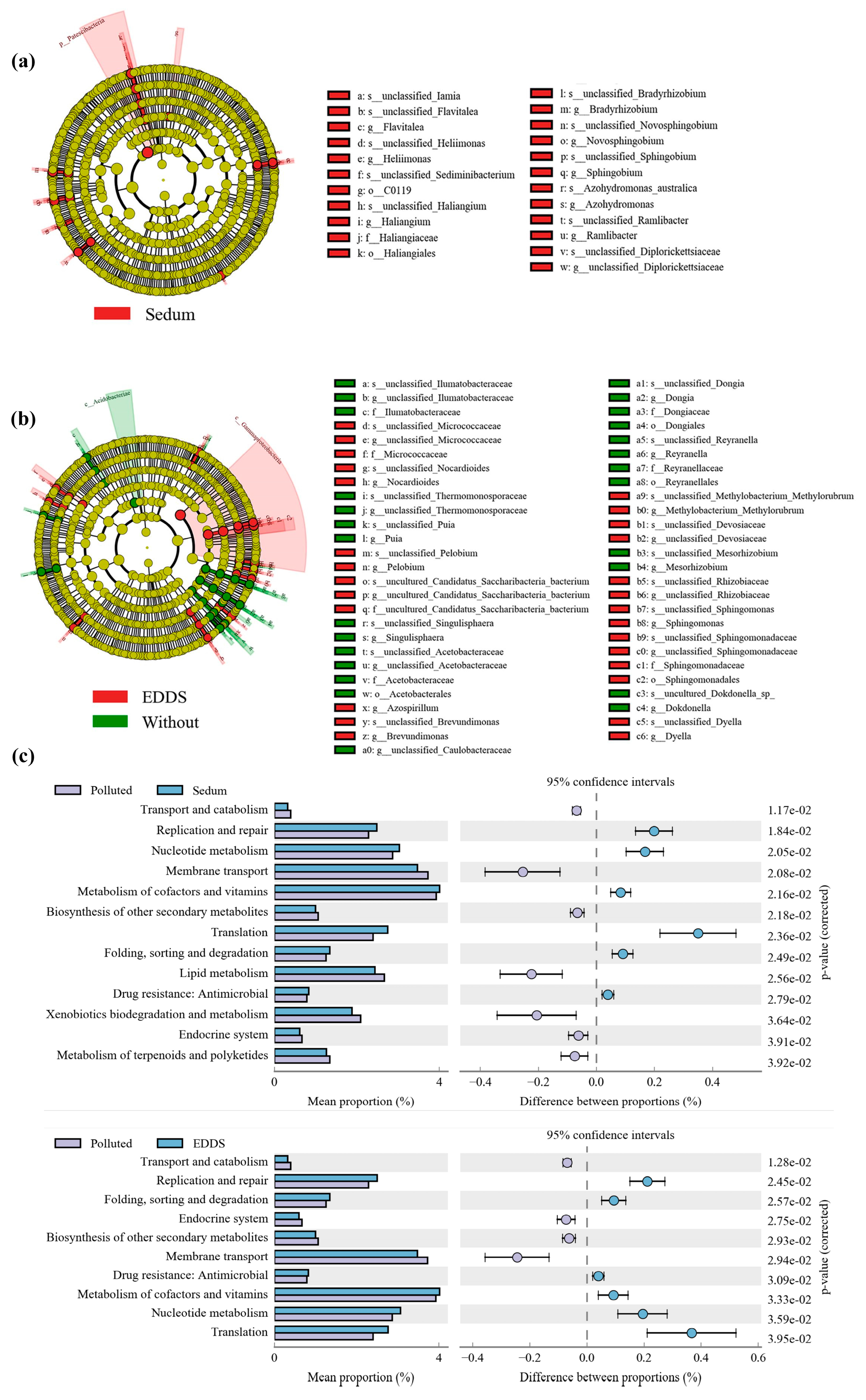 Plants 15 00231 g011