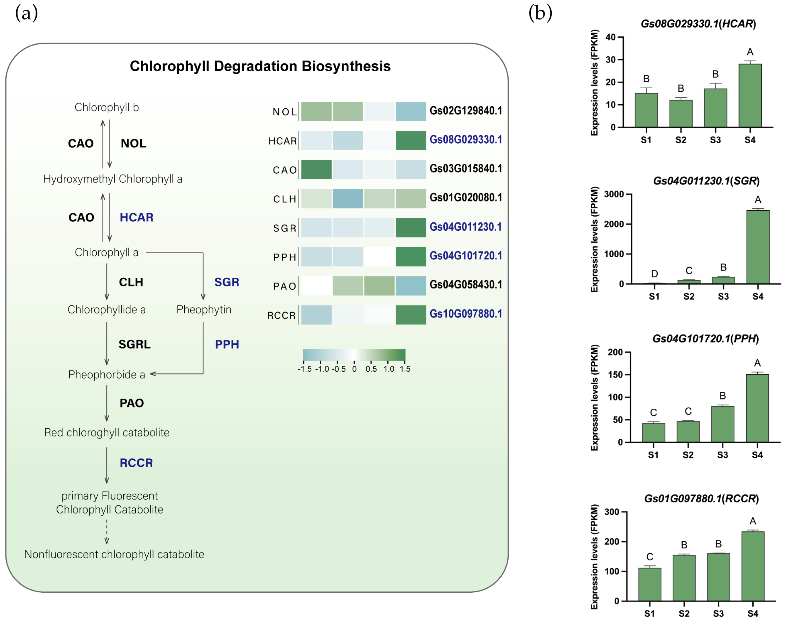 Plants 15 00235 g004