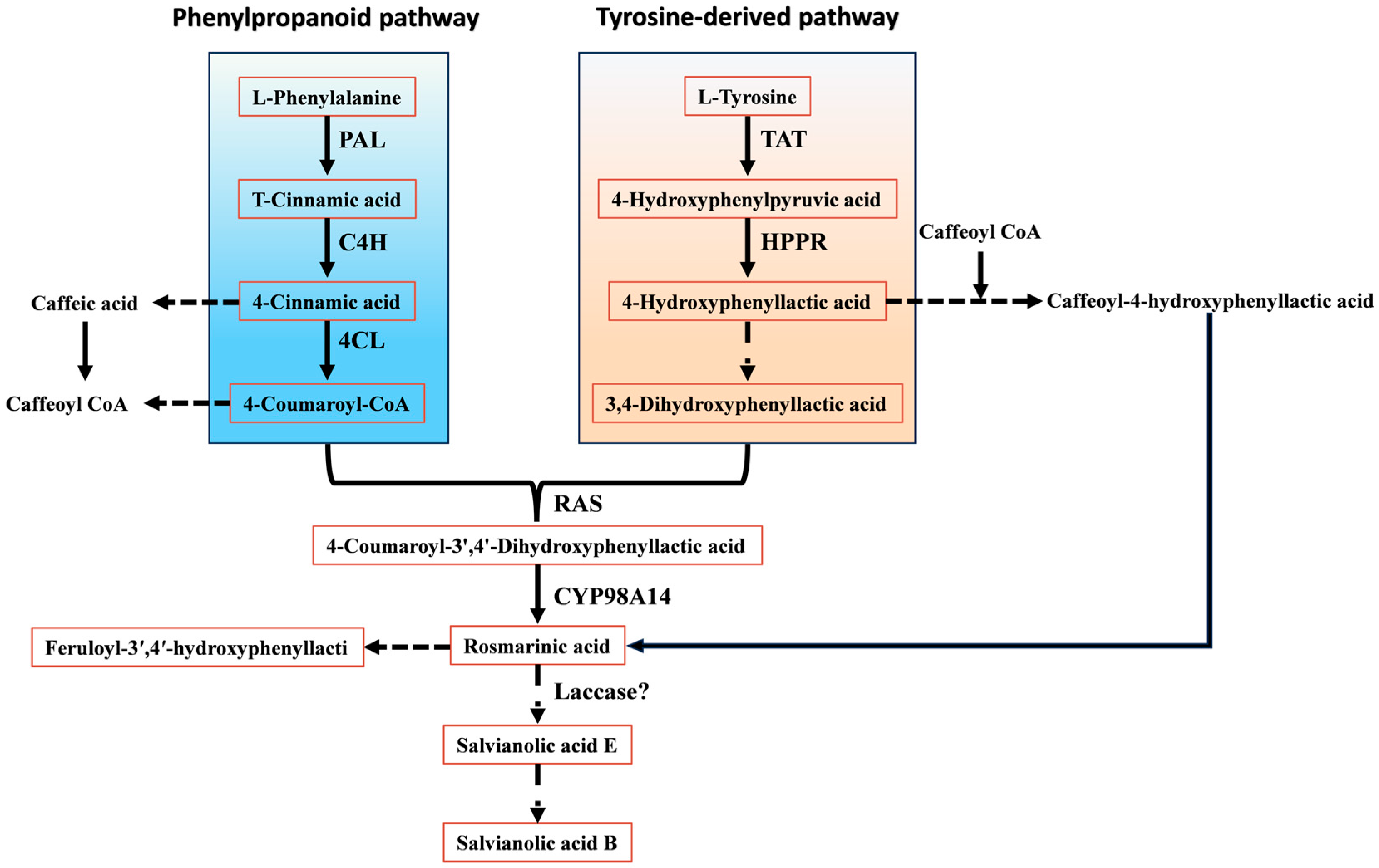 Plants 15 00263 g003
