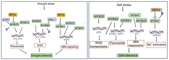 Plants 15 00275 g005
