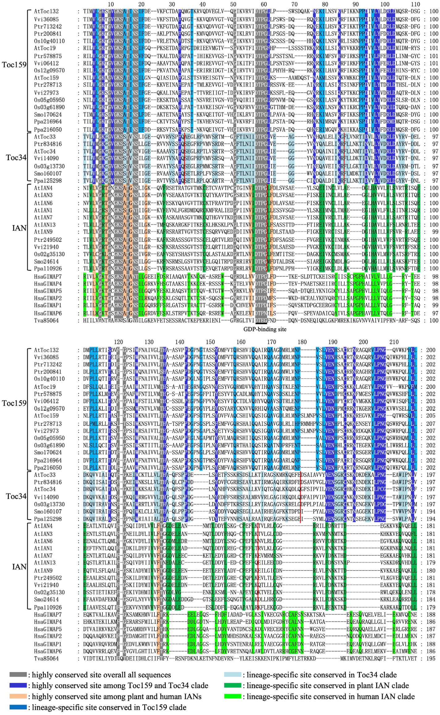 Plants 15 00301 g001 Plants 15 00301 g001