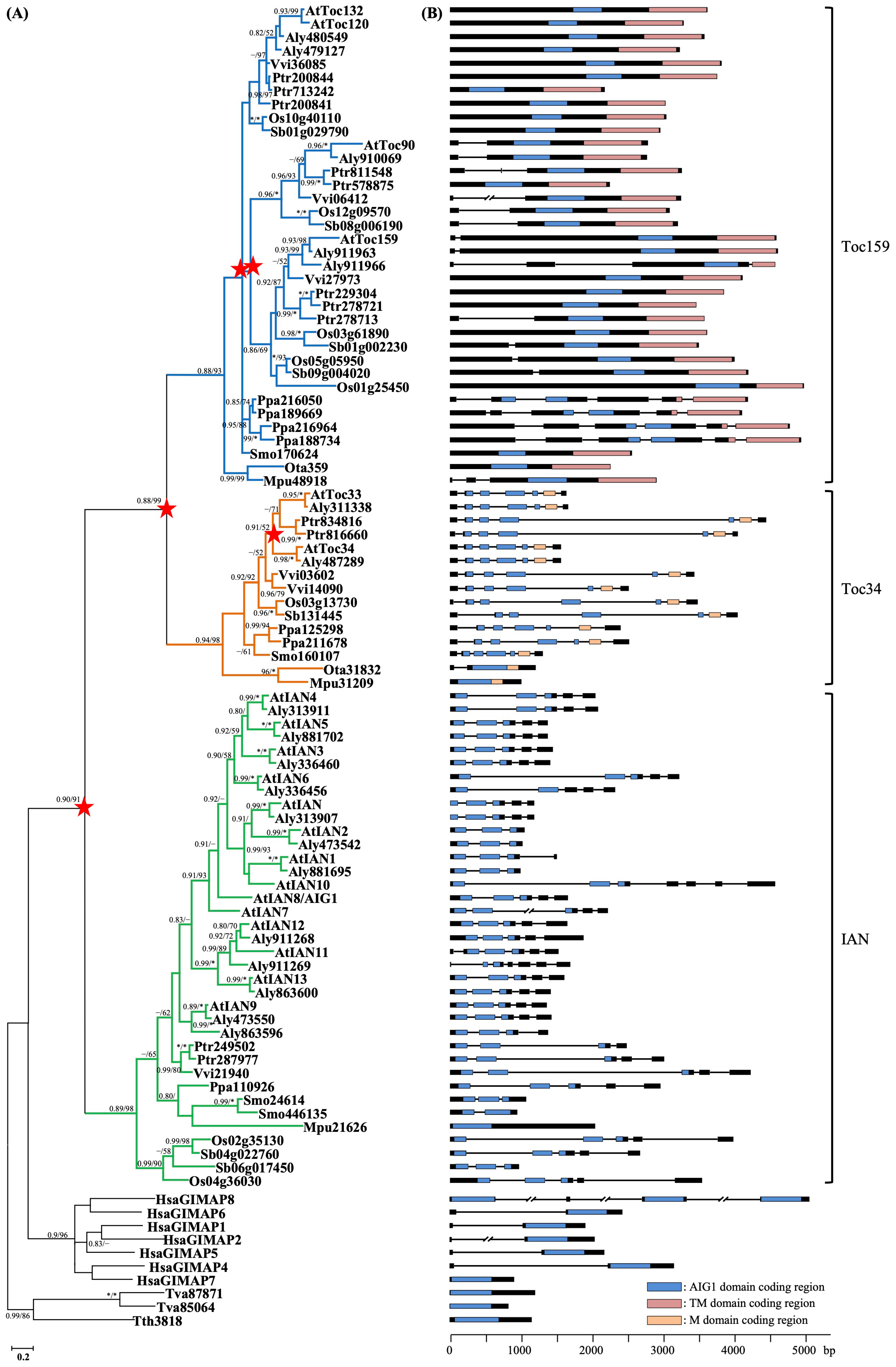 Plants 15 00301 g002 Plants 15 00301 g002