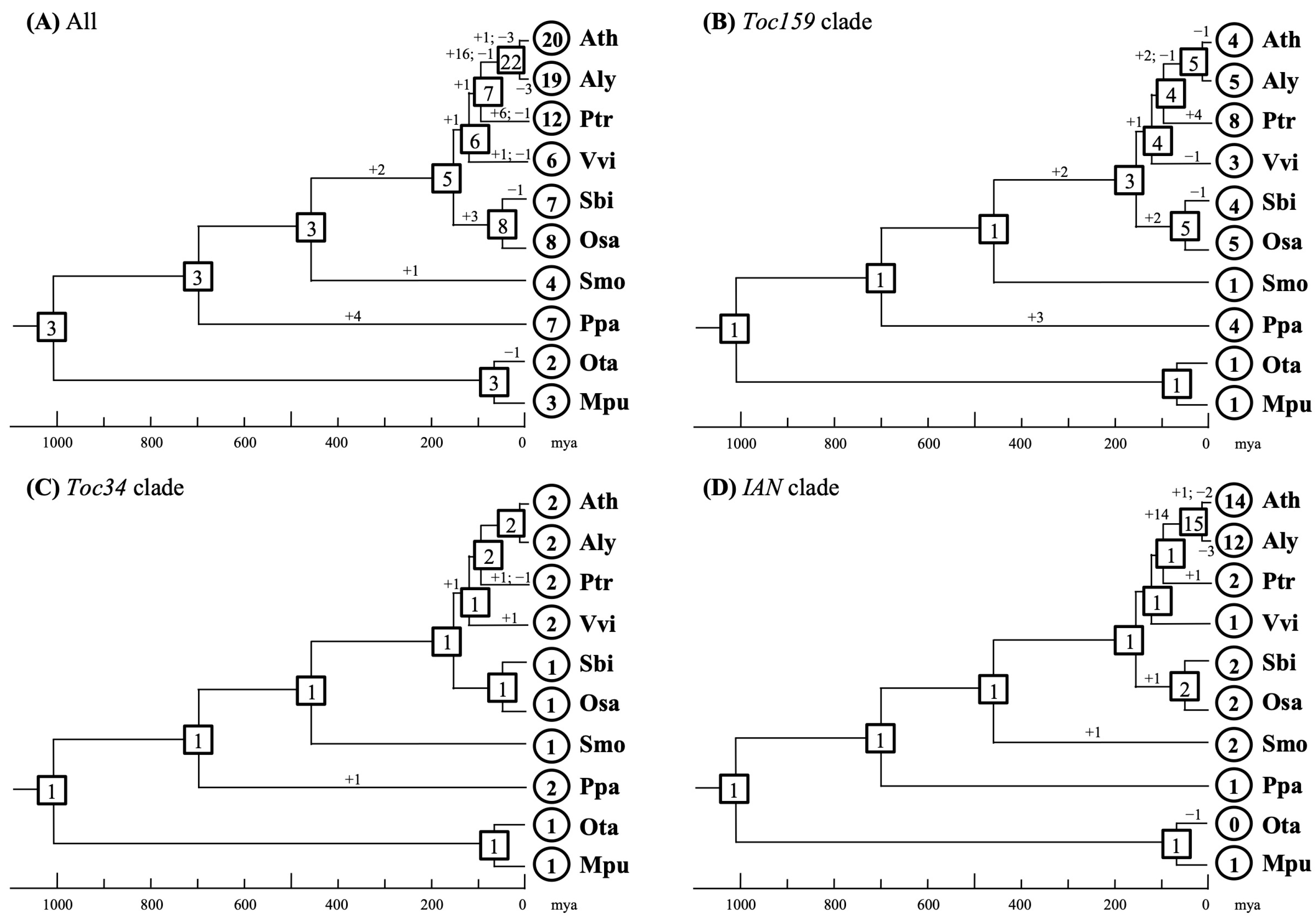 Plants 15 00301 g003 Plants 15 00301 g003
