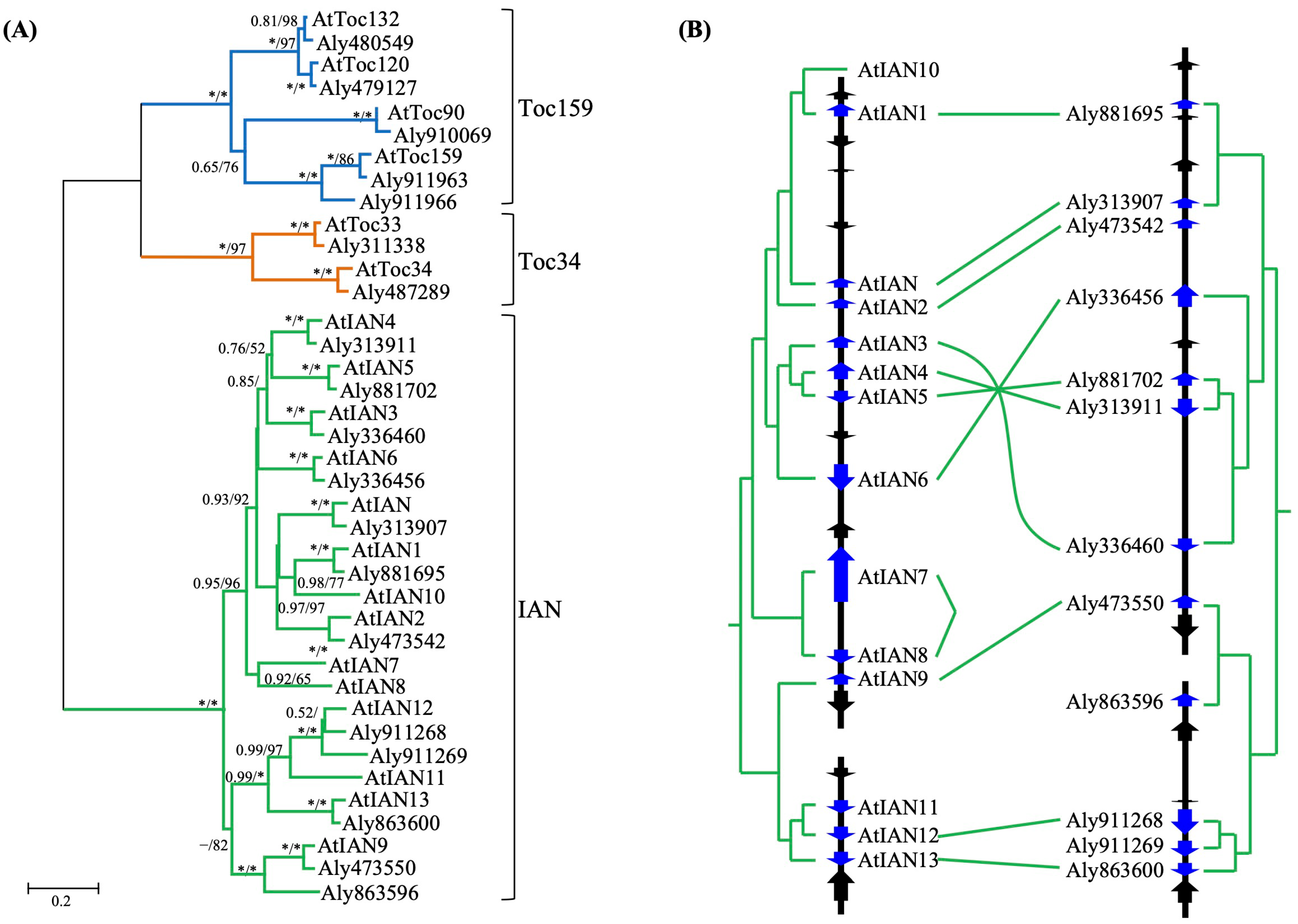 Plants 15 00301 g004 Plants 15 00301 g004
