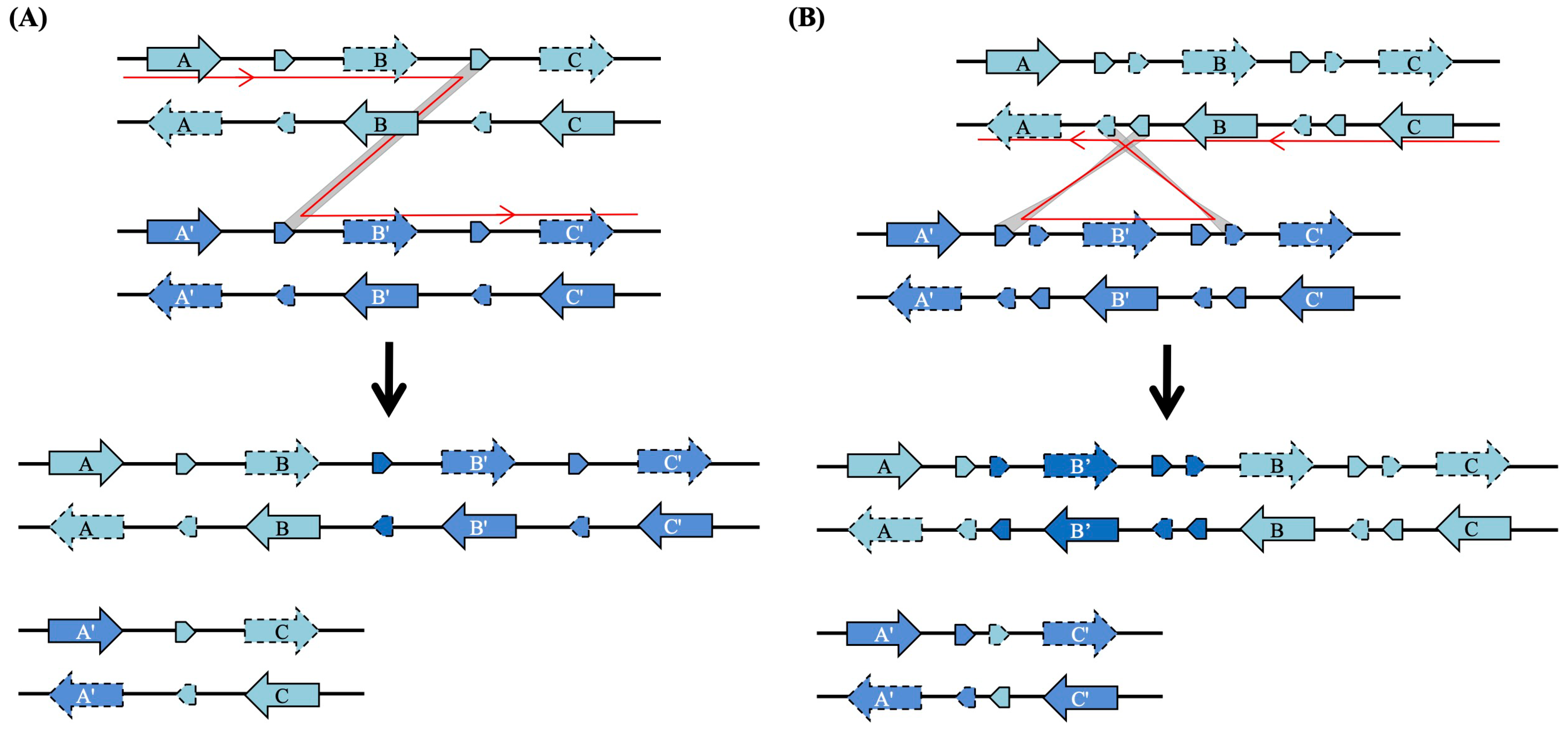 Plants 15 00301 g005 Plants 15 00301 g005