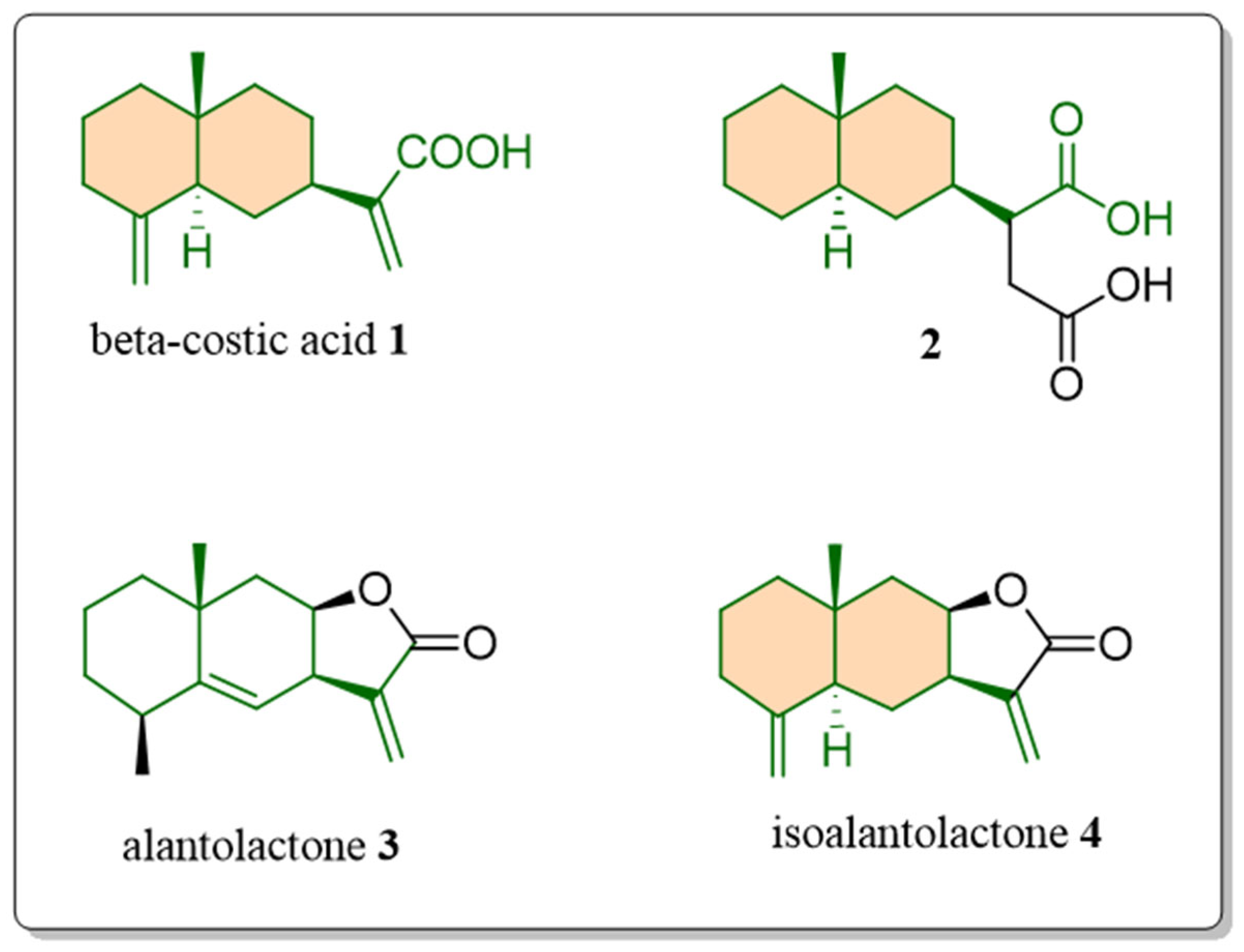 Plants 15 00310 g001