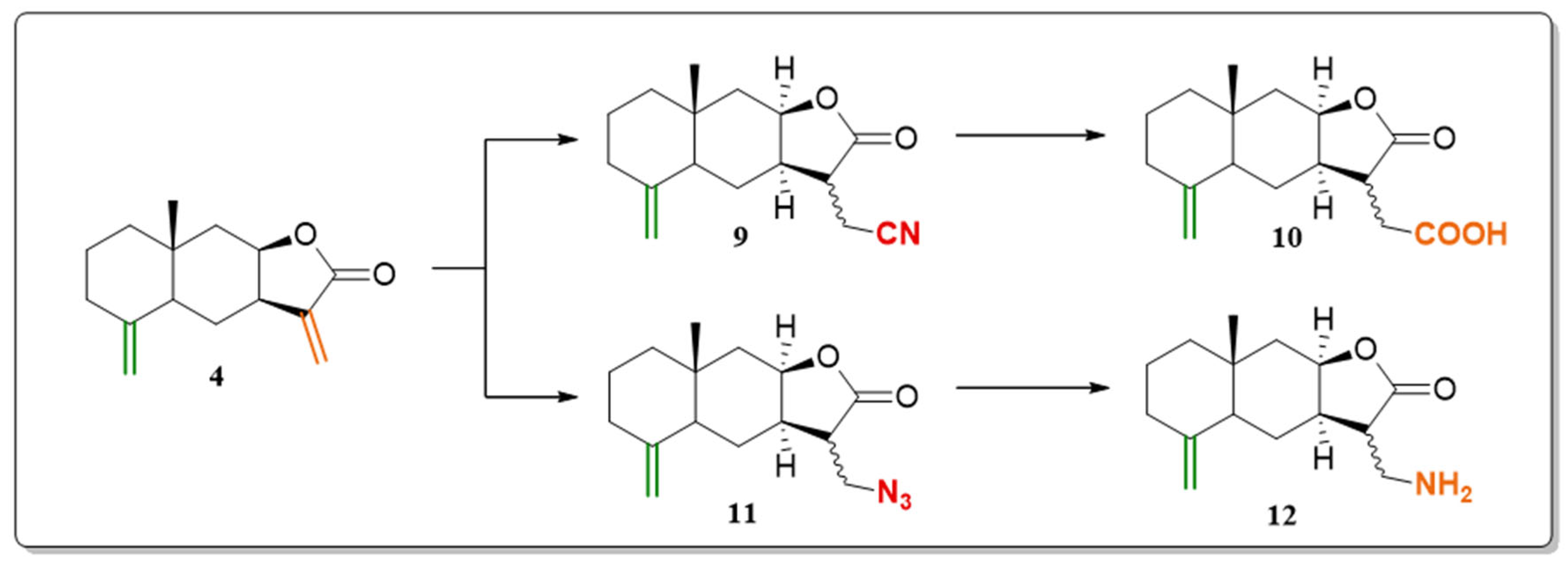 Plants 15 00310 sch002