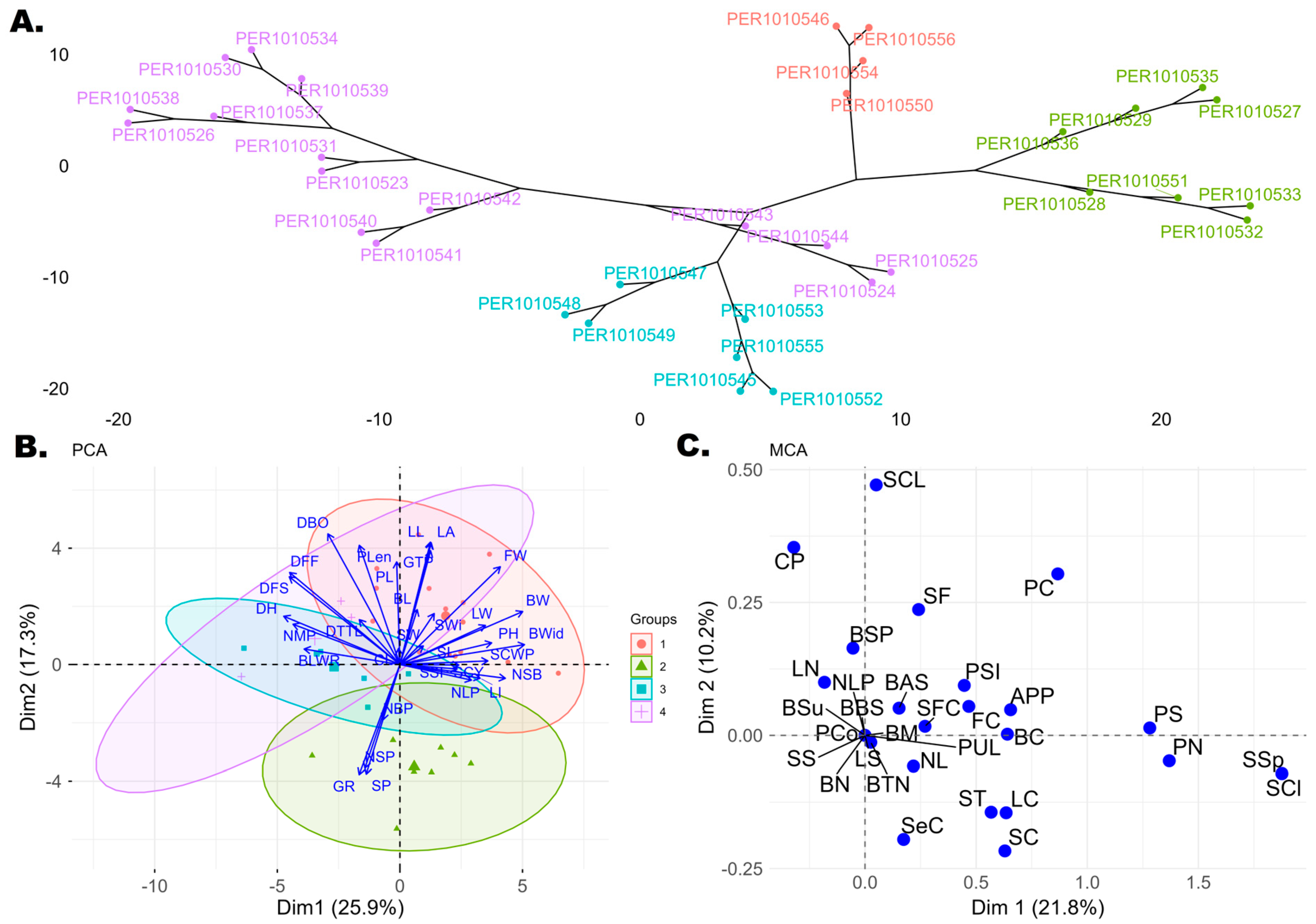 Plants 15 00314 g002
