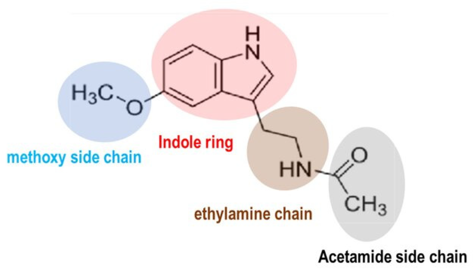 Plants 15 00331 g001