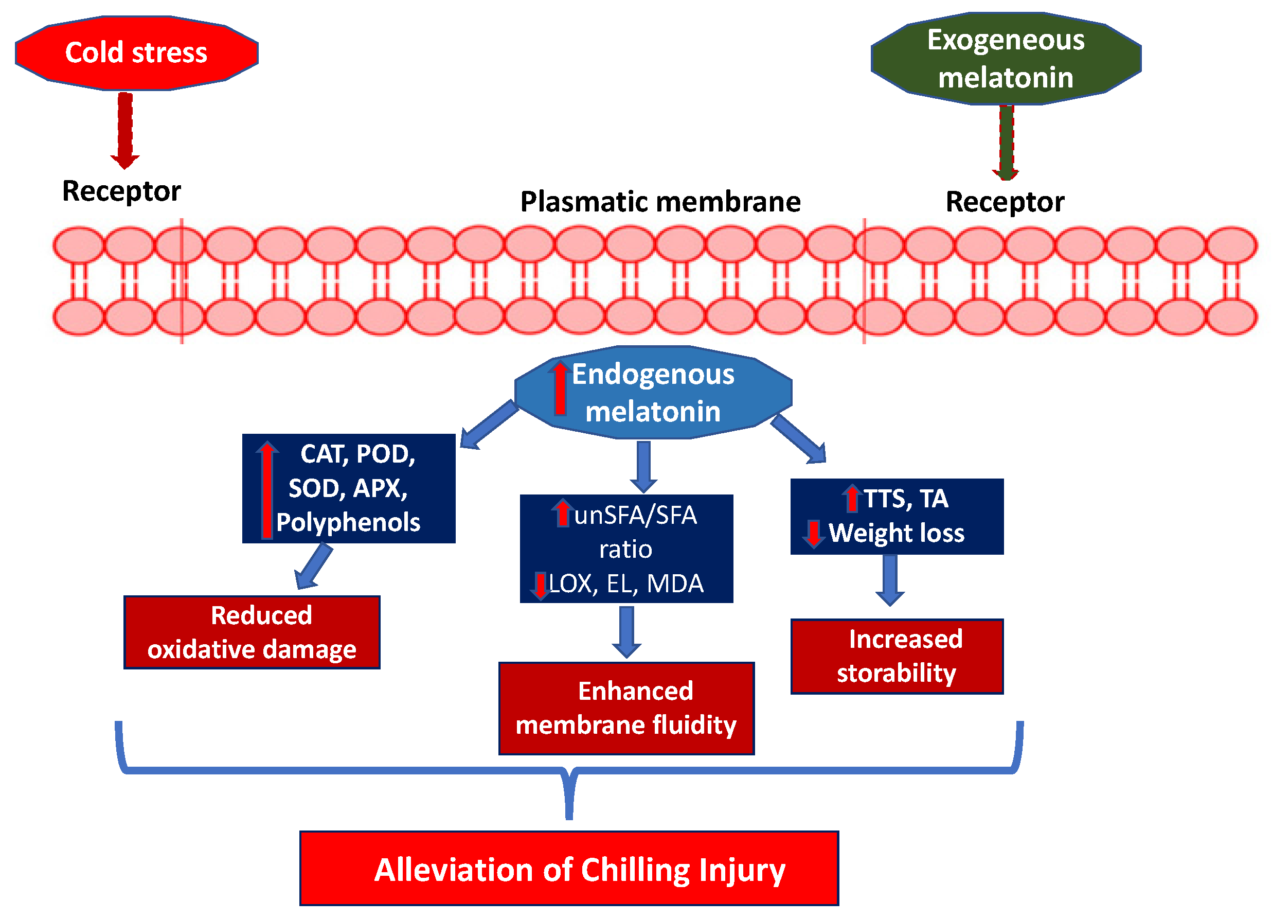 Plants 15 00331 g005