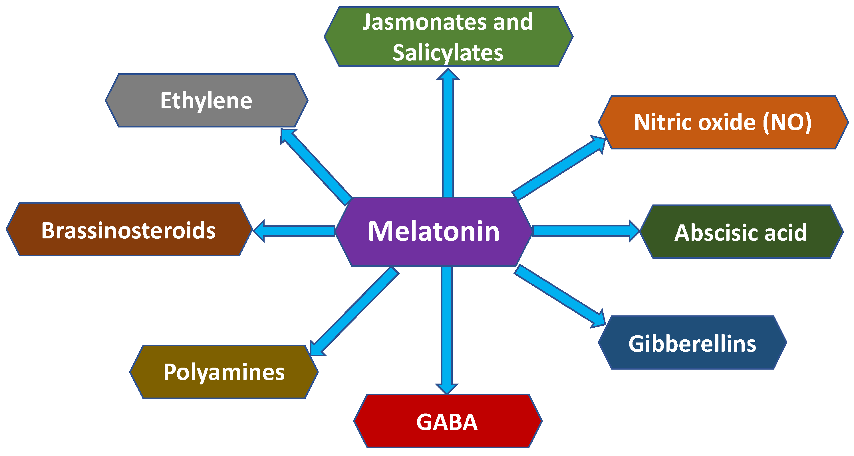 Plants 15 00331 g006