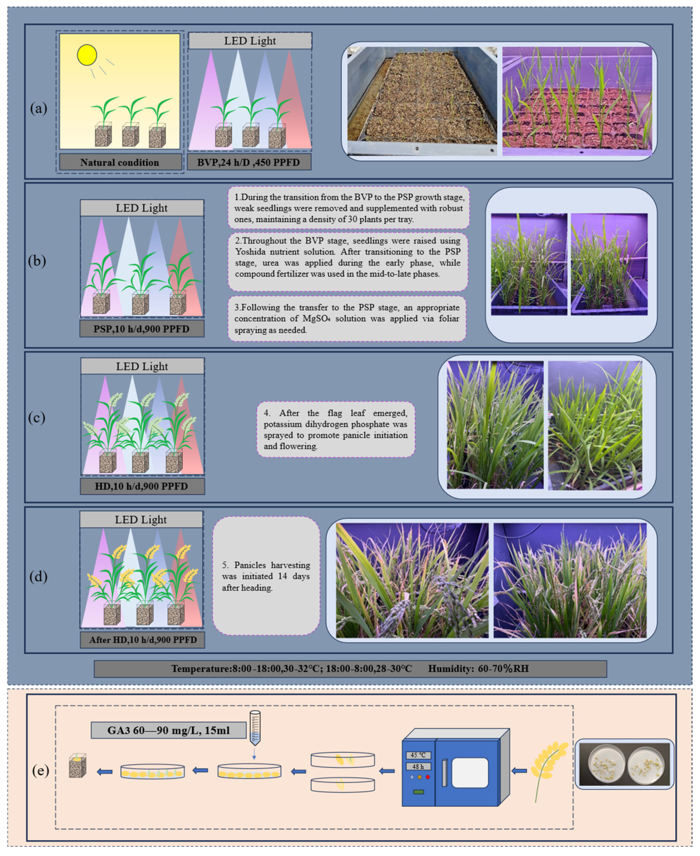 Plants 15 00343 g008 Plants 15 00343 g008