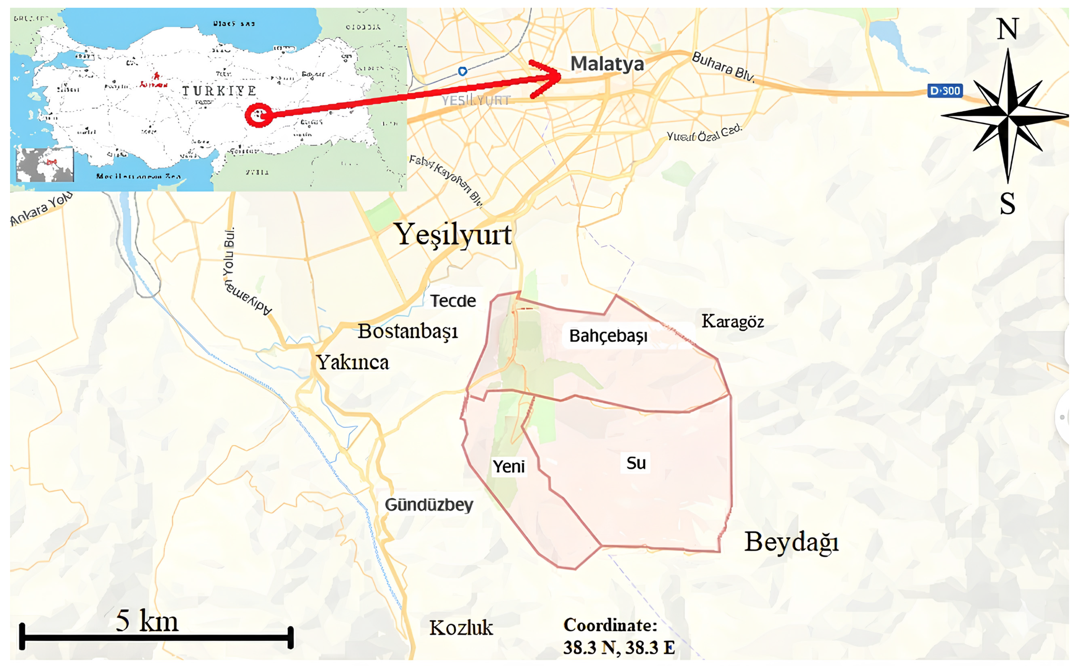 Plants 15 00383 g002