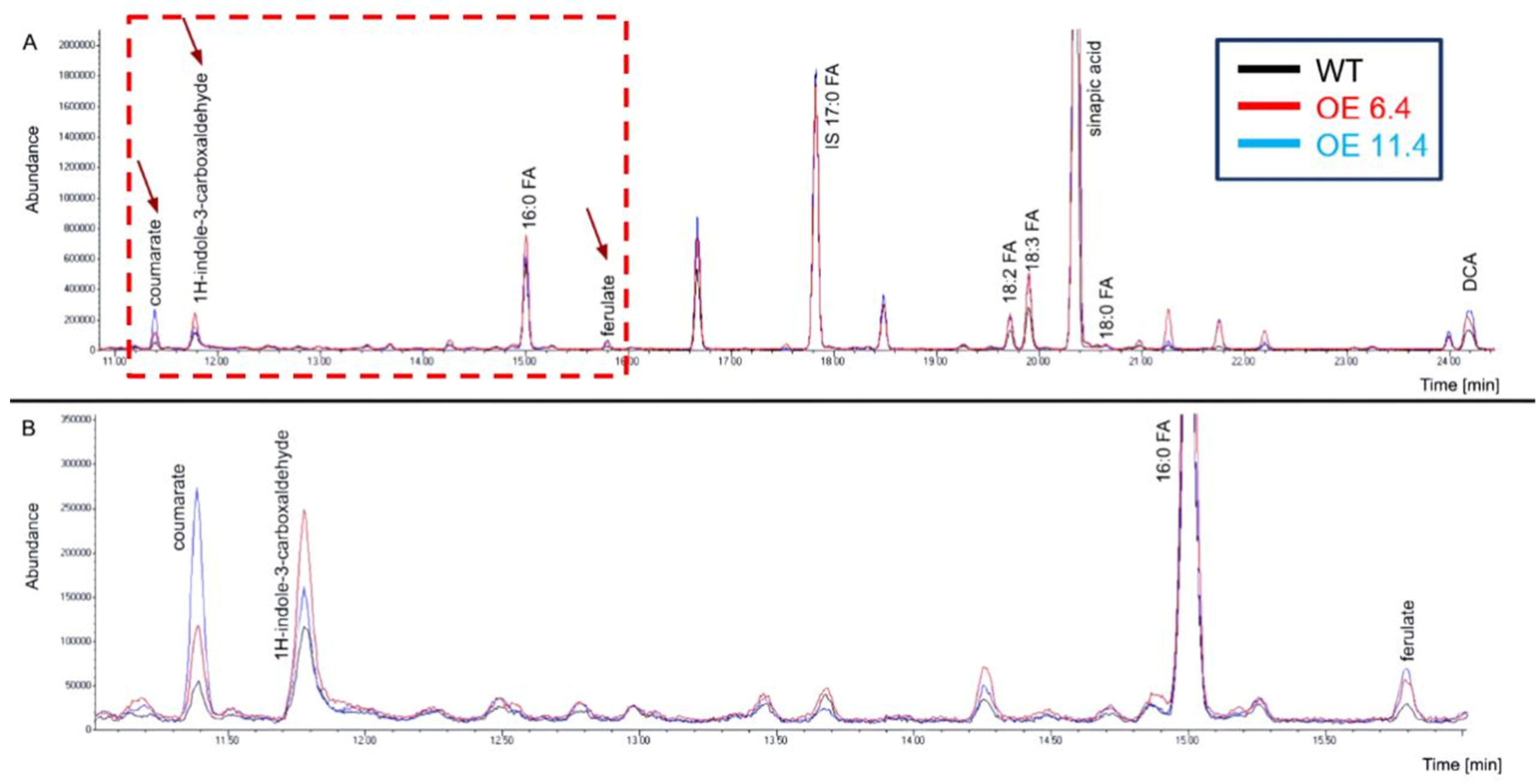 Plants 15 00408 g001