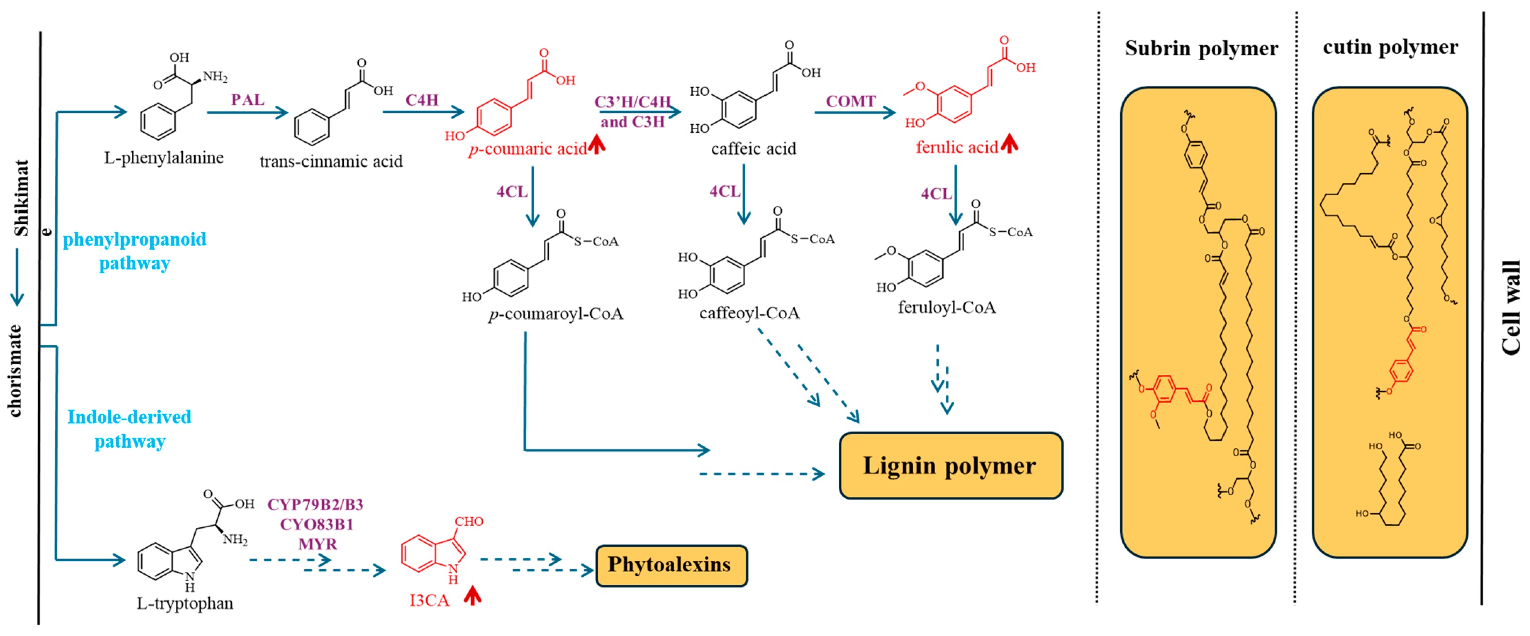 Plants 15 00408 g003