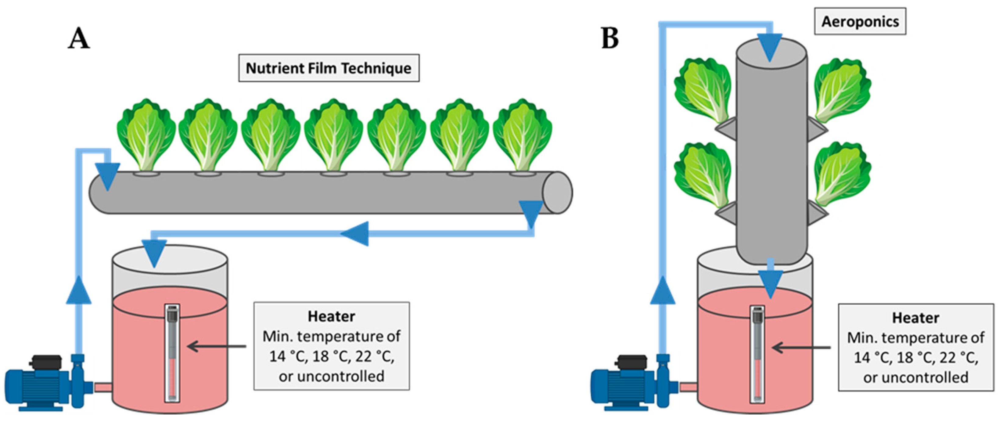 Plants 15 00422 g006 Plants 15 00422 g006