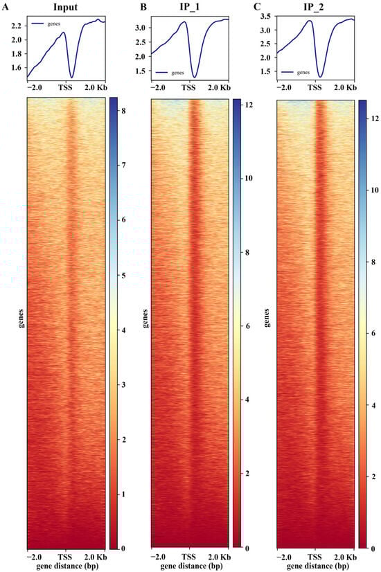 Plants 15 00423 g001