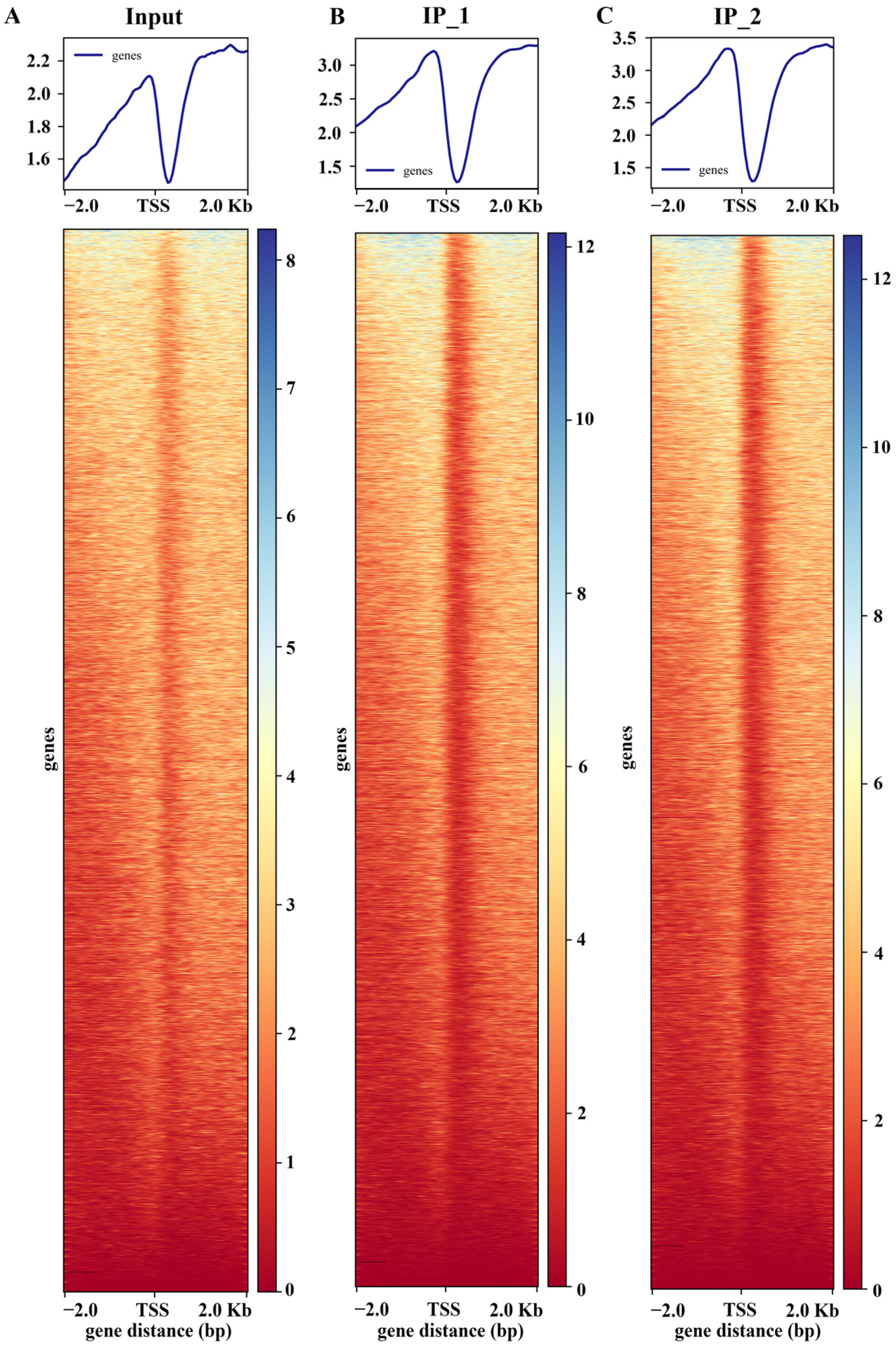 Plants 15 00423 g001 Plants 15 00423 g001