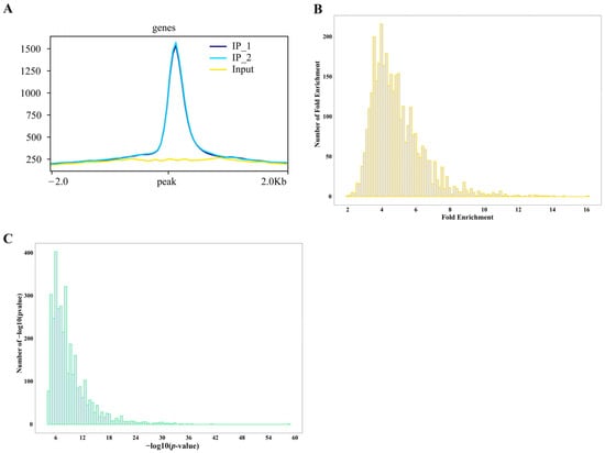 Plants 15 00423 g002