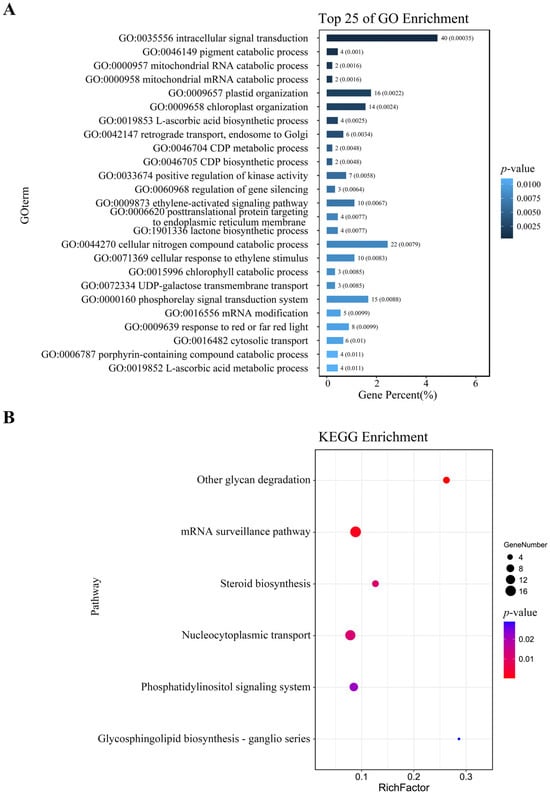 Plants 15 00423 g004