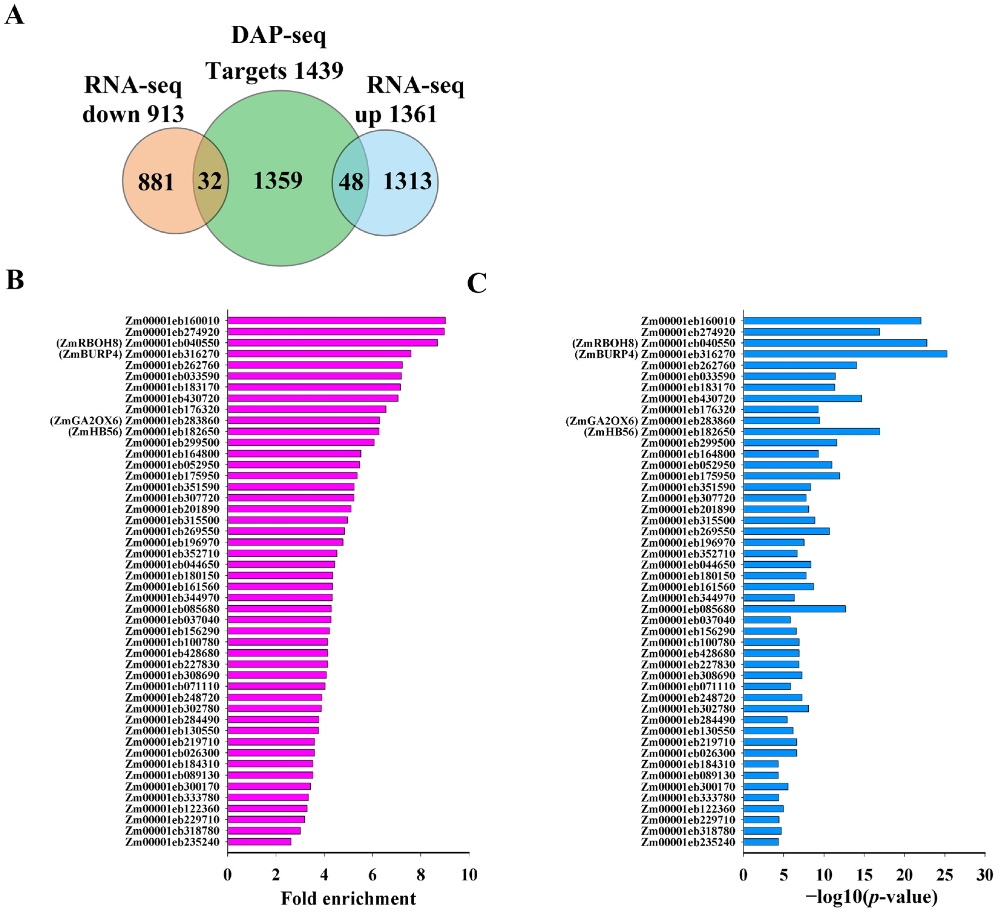 Plants 15 00423 g005 Plants 15 00423 g005