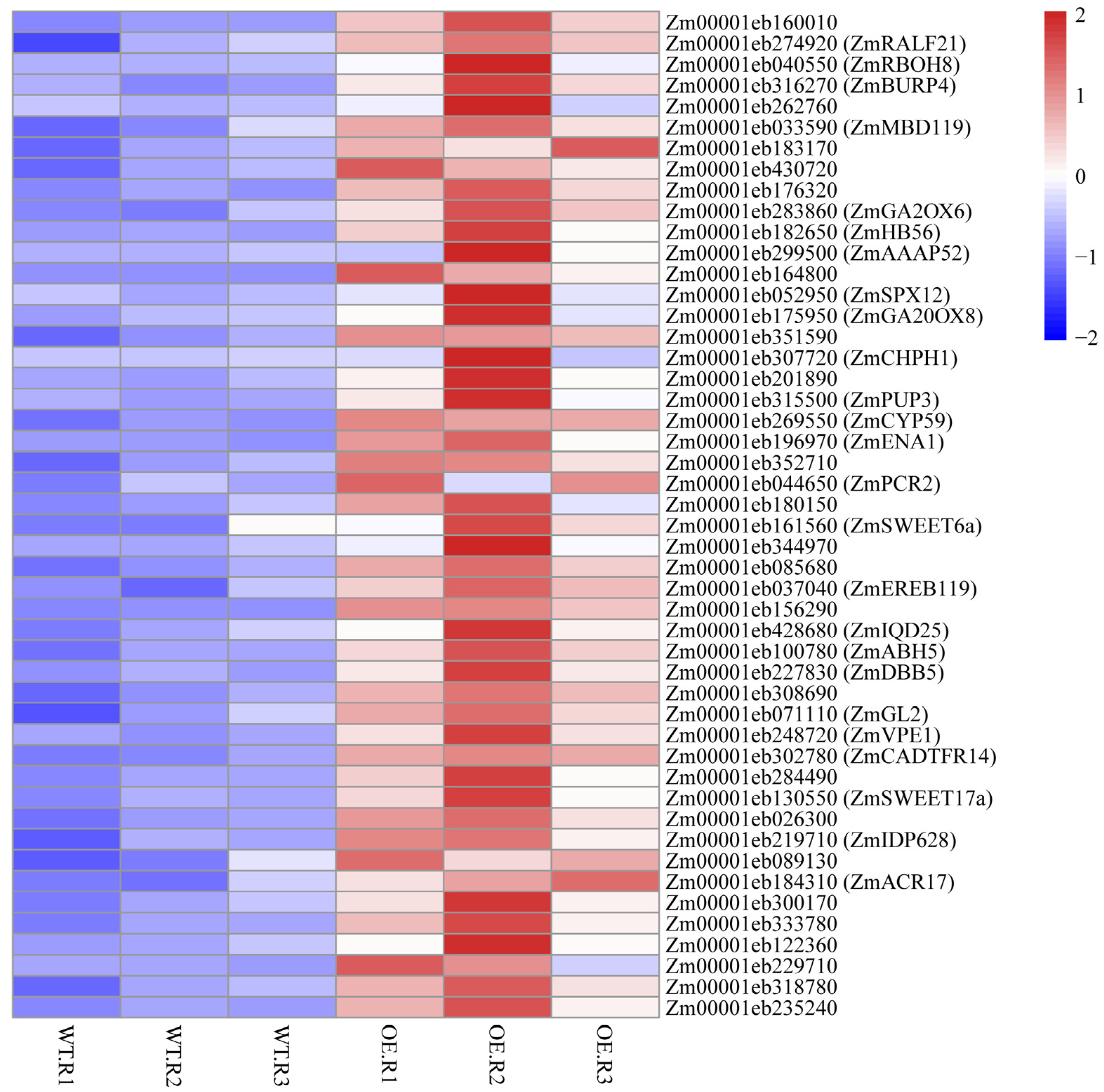 Plants 15 00423 g006 Plants 15 00423 g006