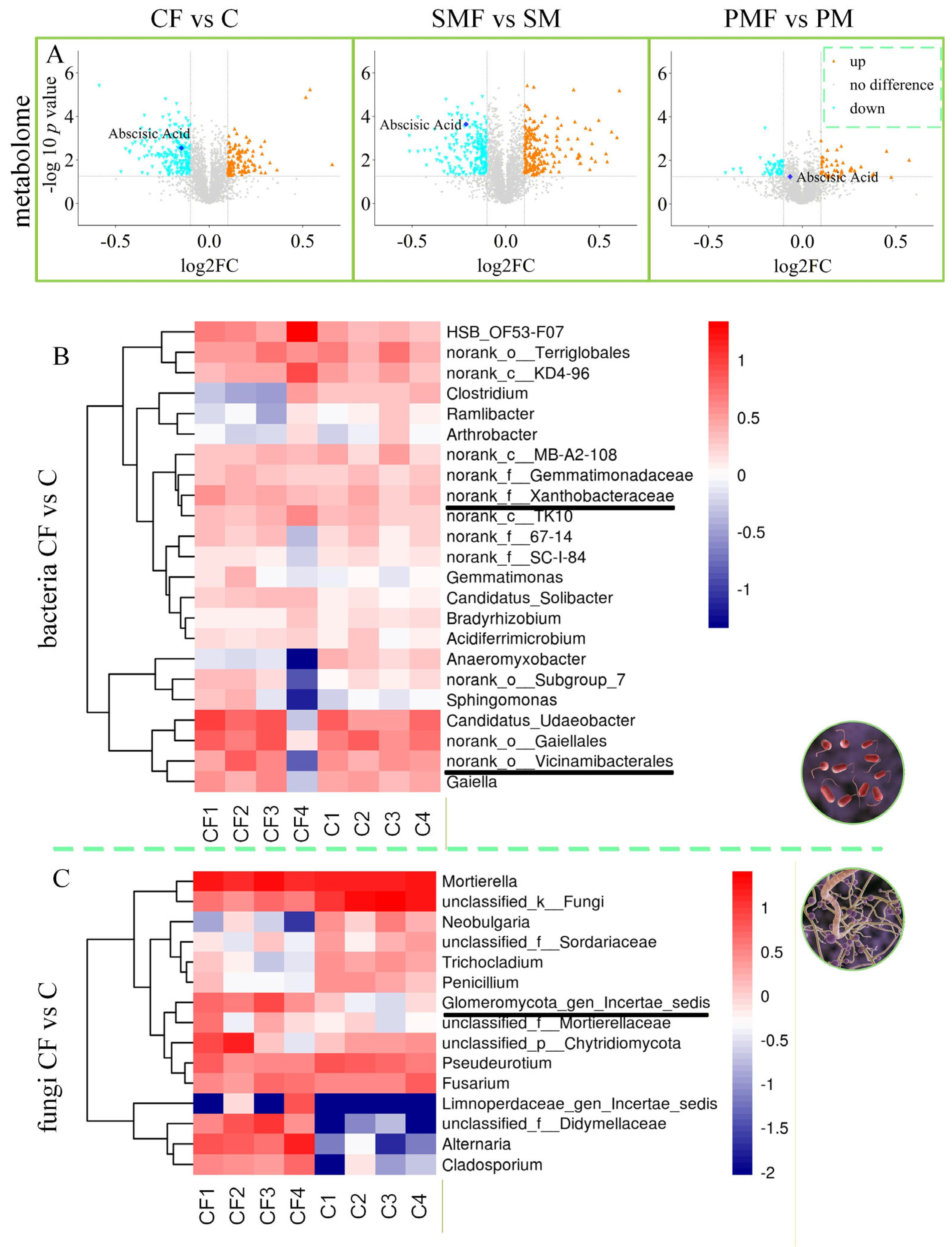 Plants 15 00424 g006 Plants 15 00424 g006