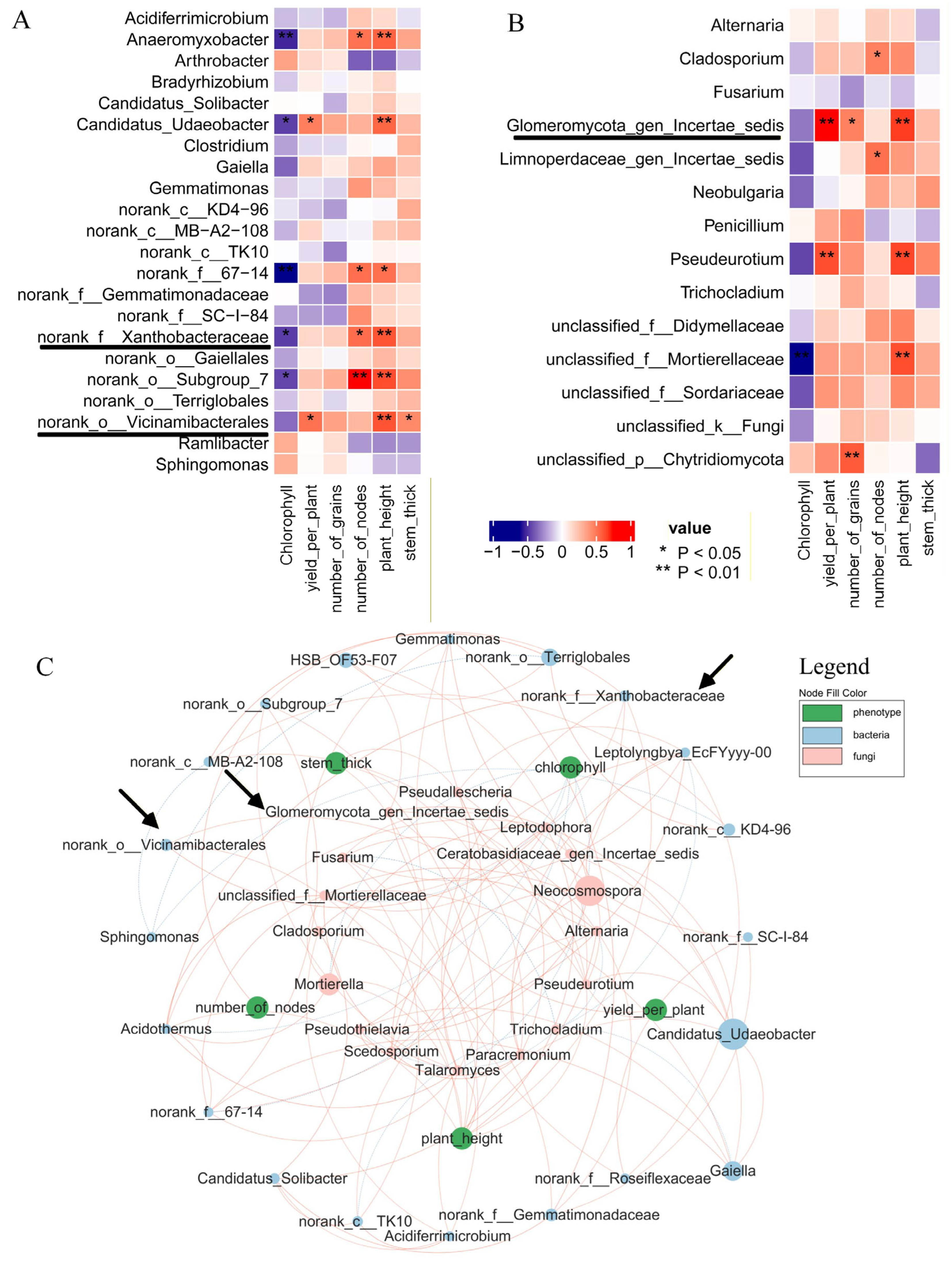 Plants 15 00424 g007 Plants 15 00424 g007