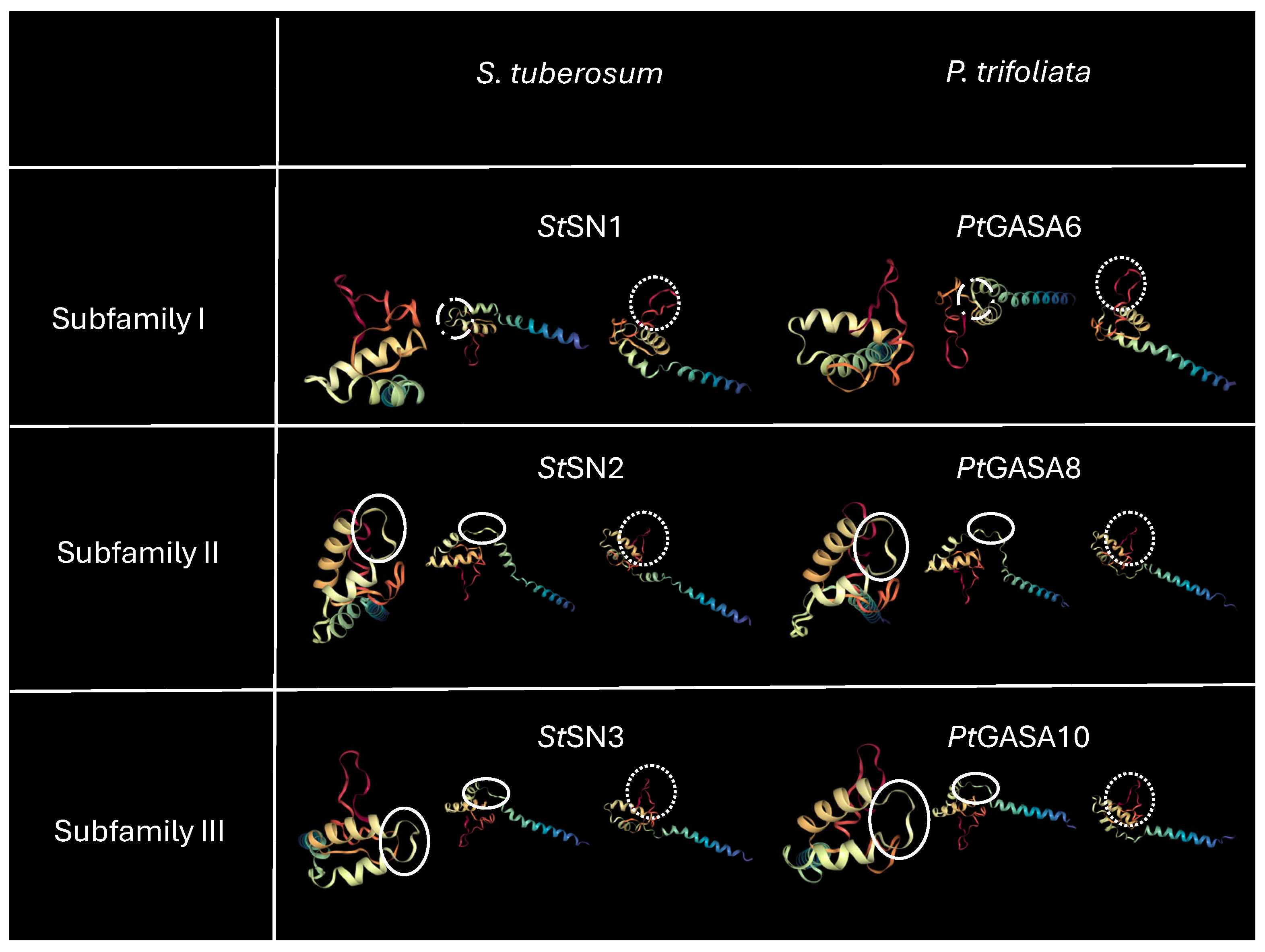 Plants 15 00425 g013 Plants 15 00425 g013