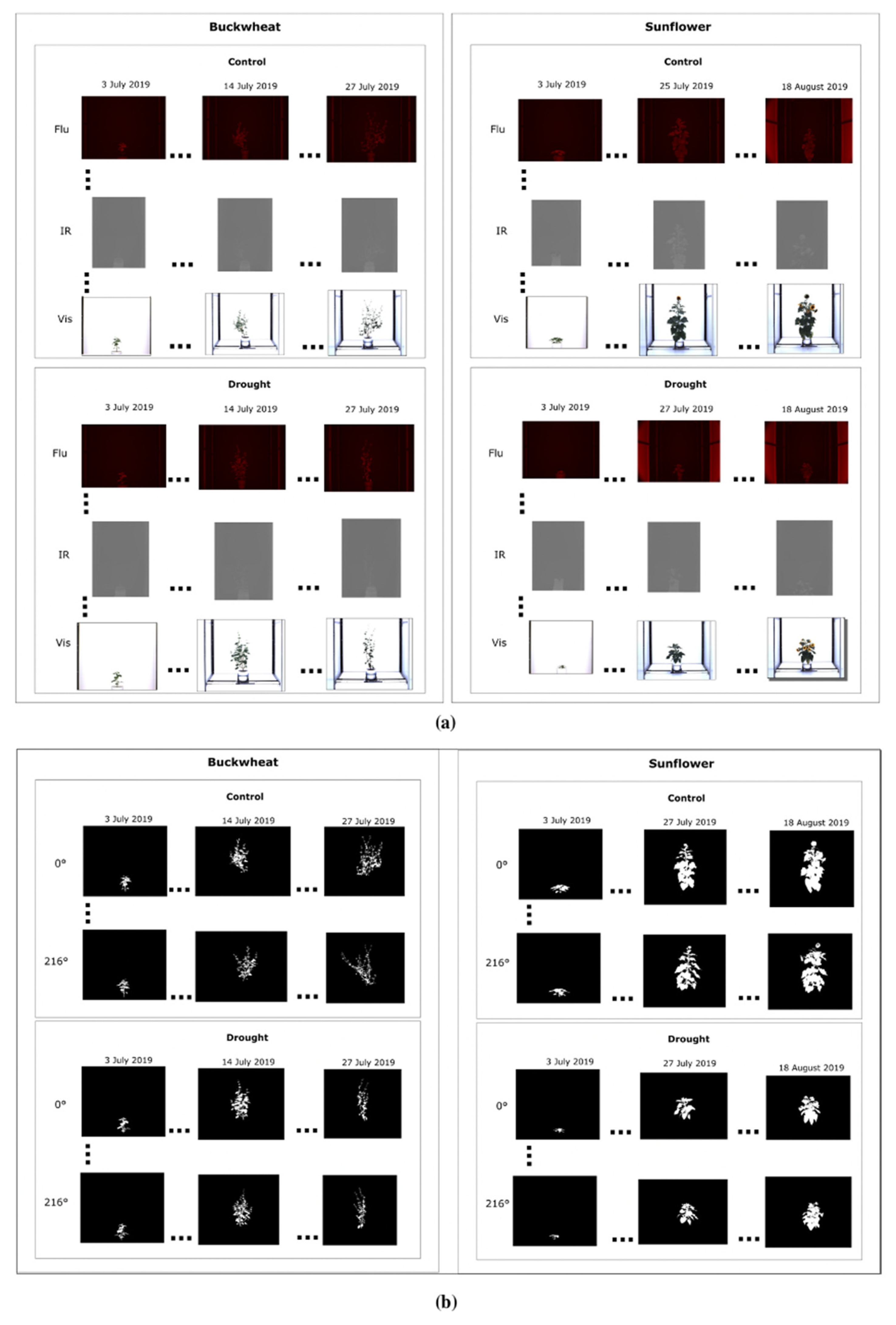 Plants 15 00428 g002 Plants 15 00428 g002