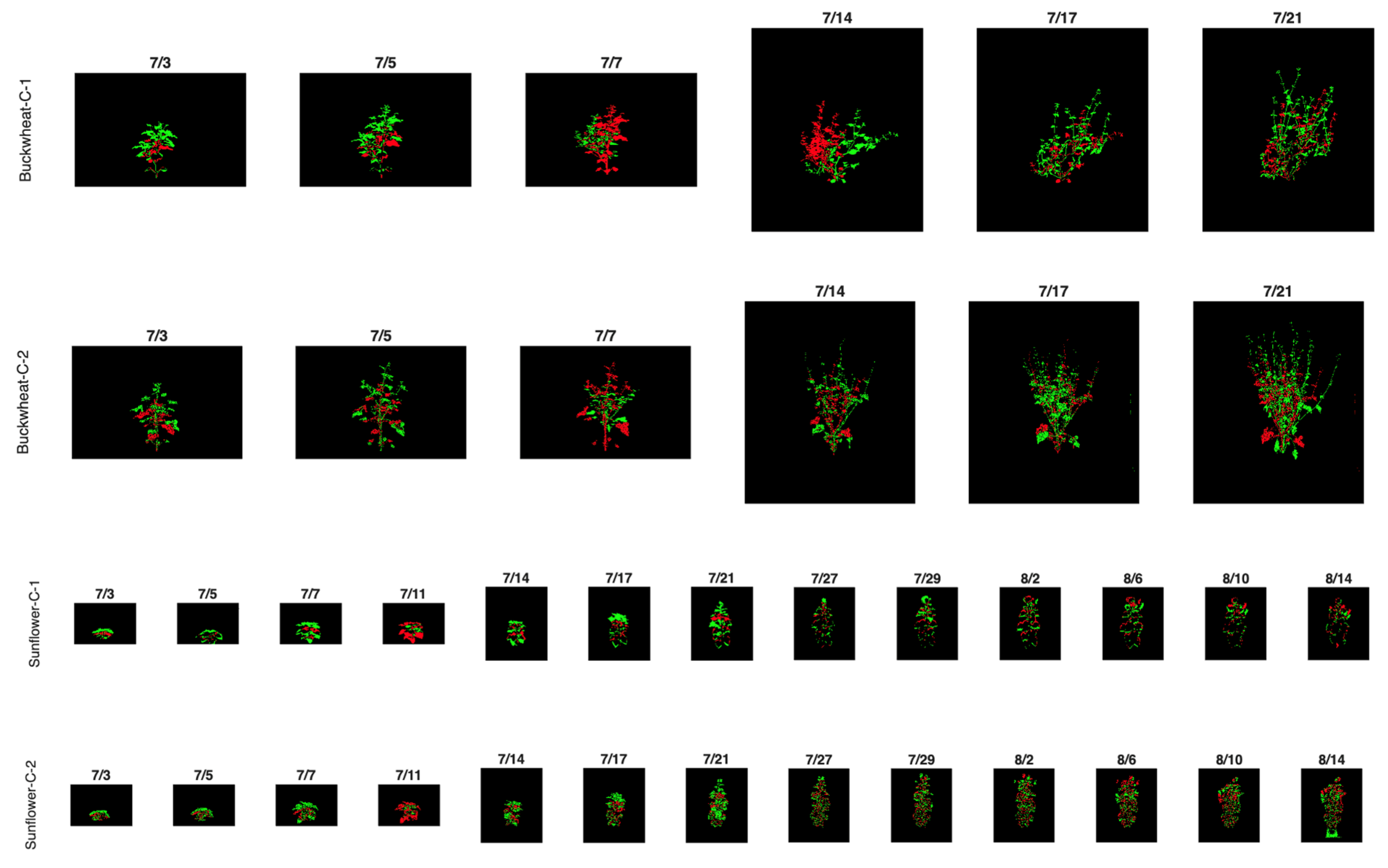 Plants 15 00428 g009 Plants 15 00428 g009