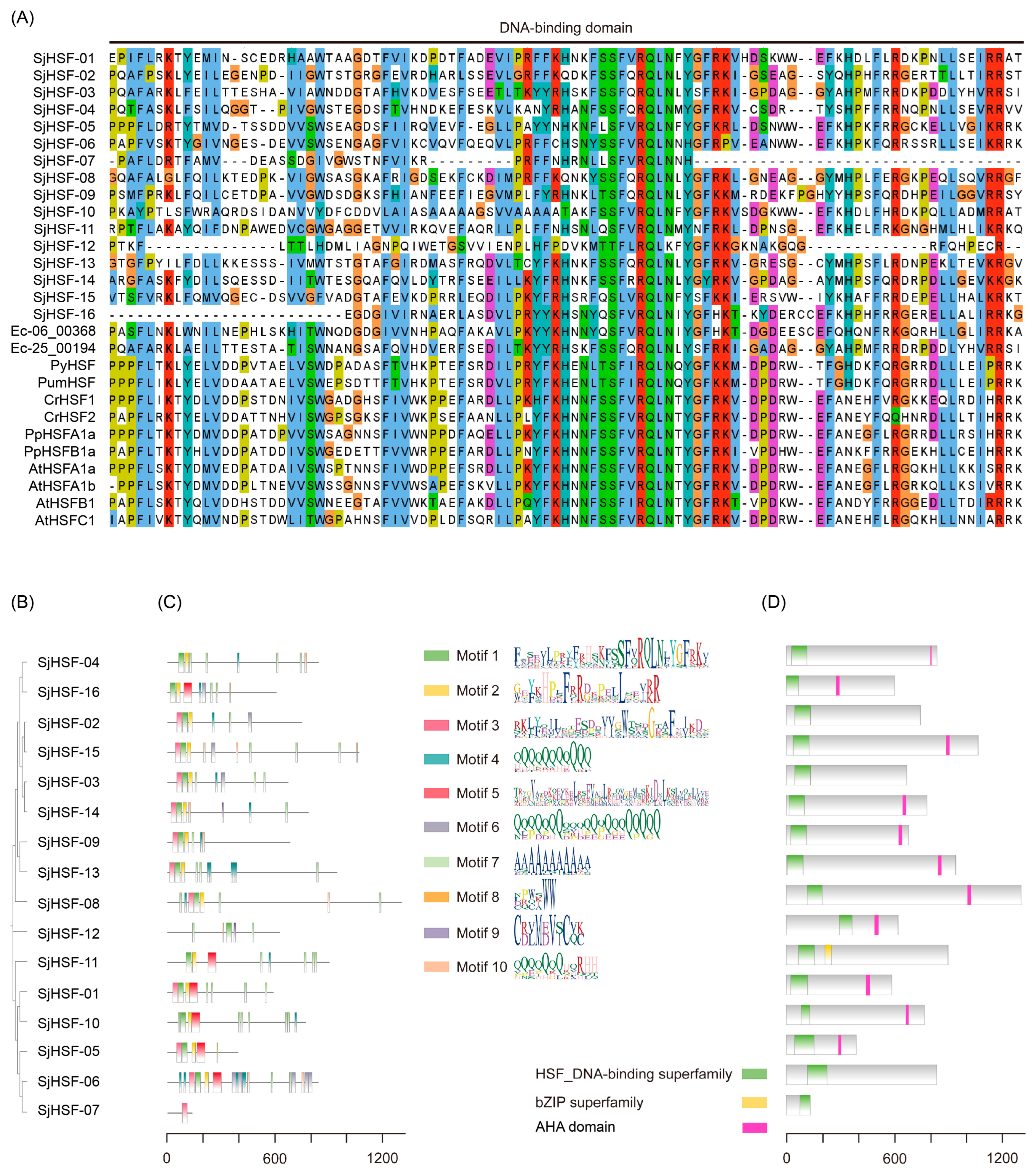 Plants 15 00429 g001 Plants 15 00429 g001