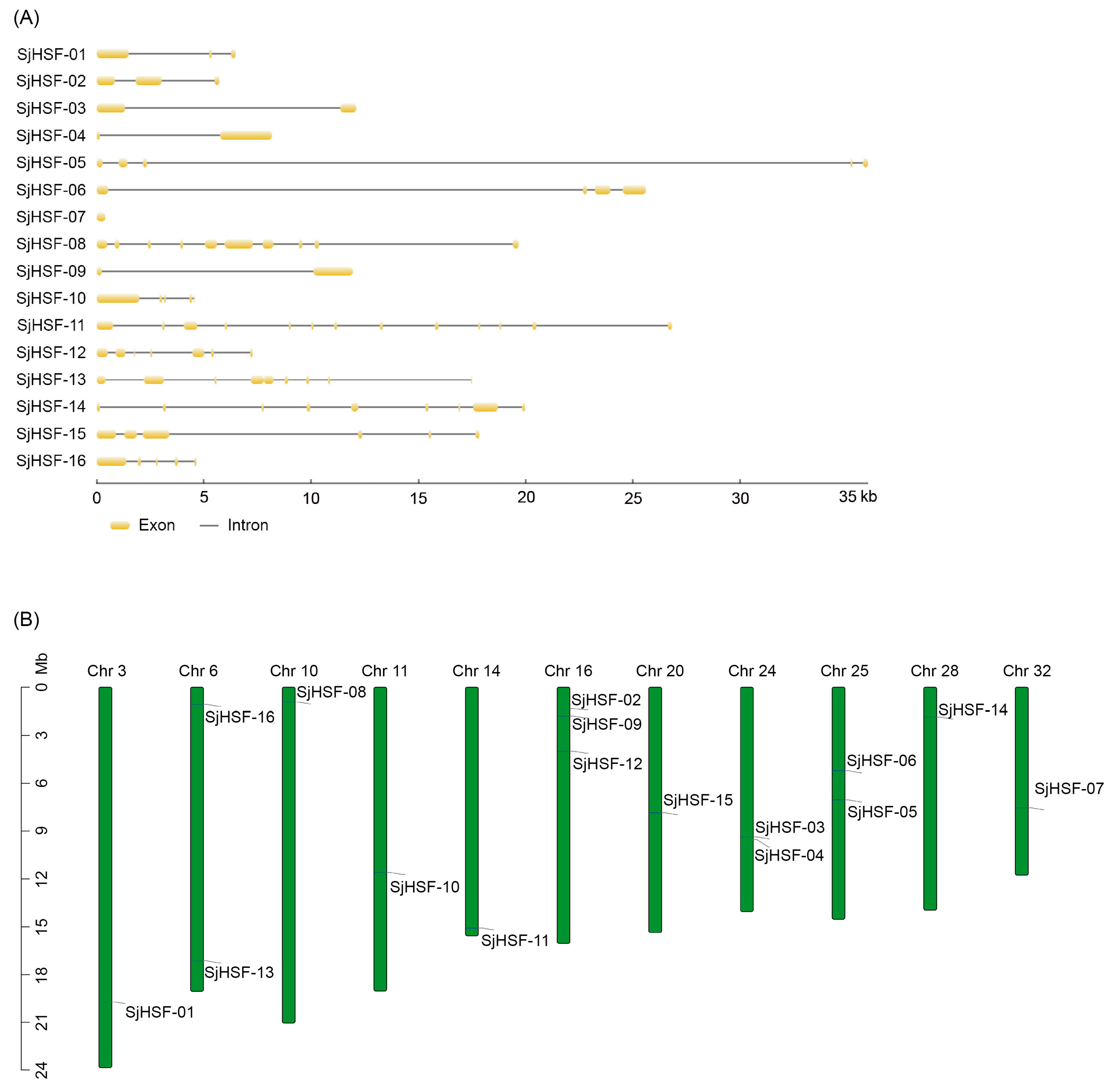 Plants 15 00429 g002 Plants 15 00429 g002