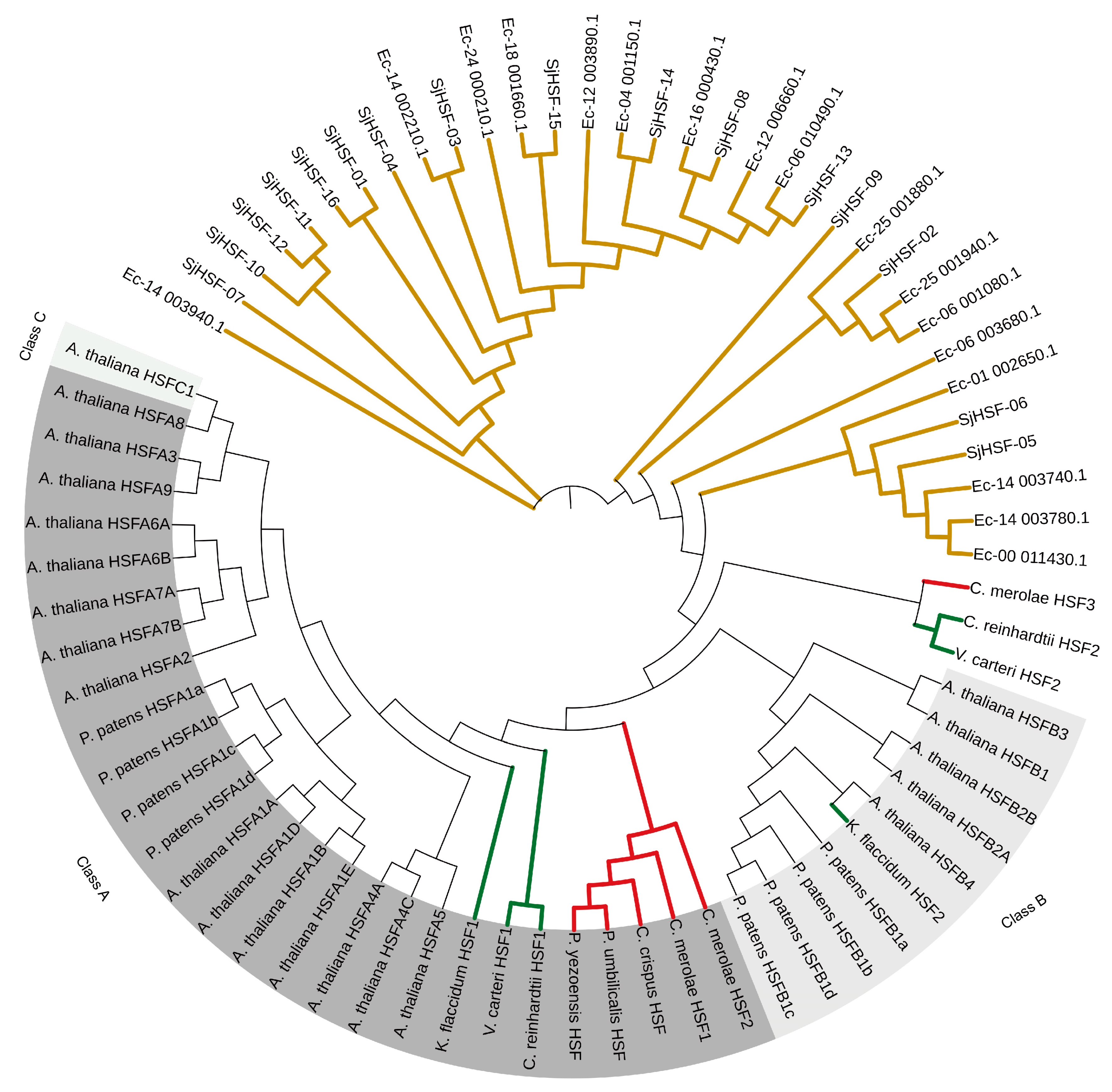 Plants 15 00429 g003 Plants 15 00429 g003