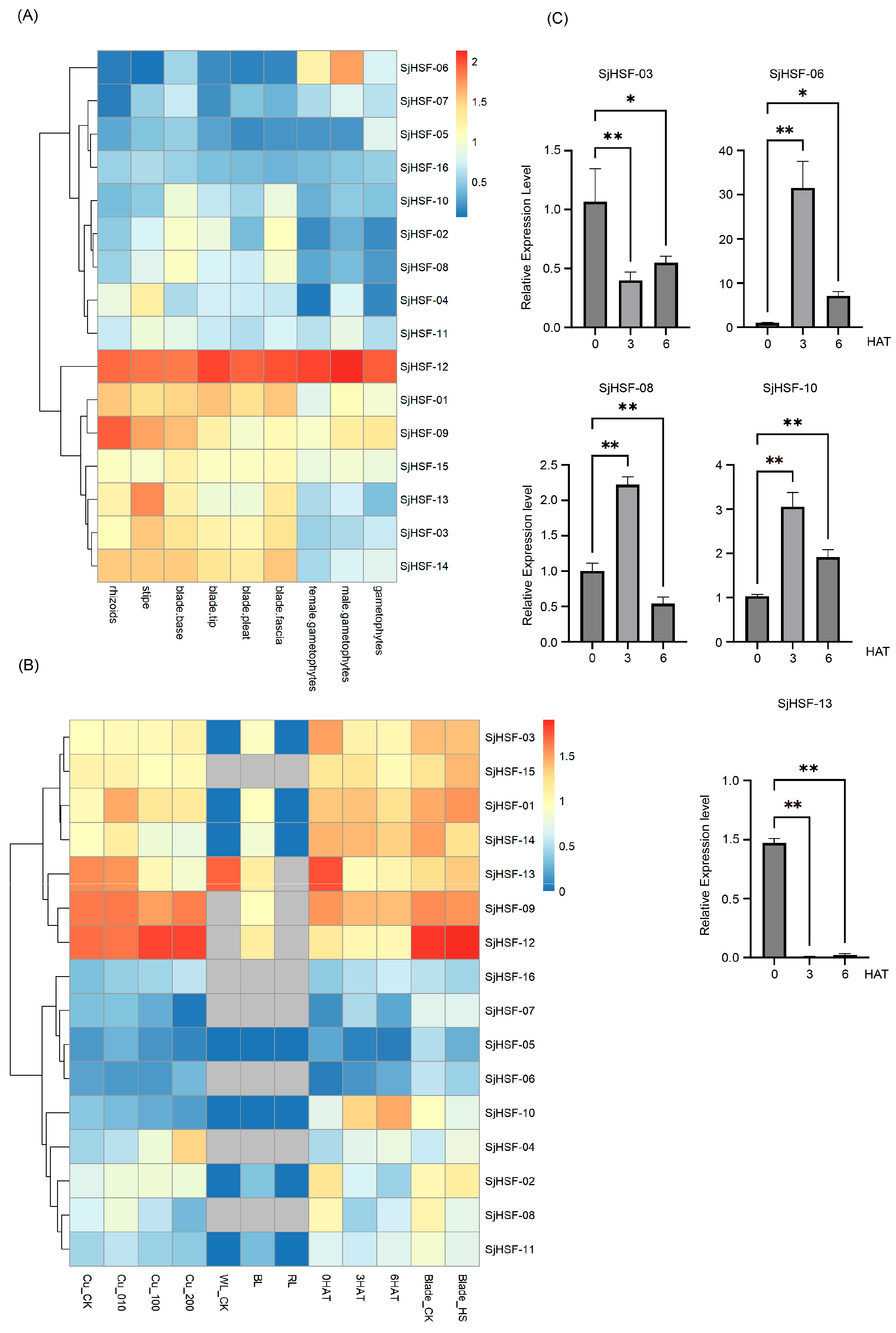 Plants 15 00429 g005 Plants 15 00429 g005