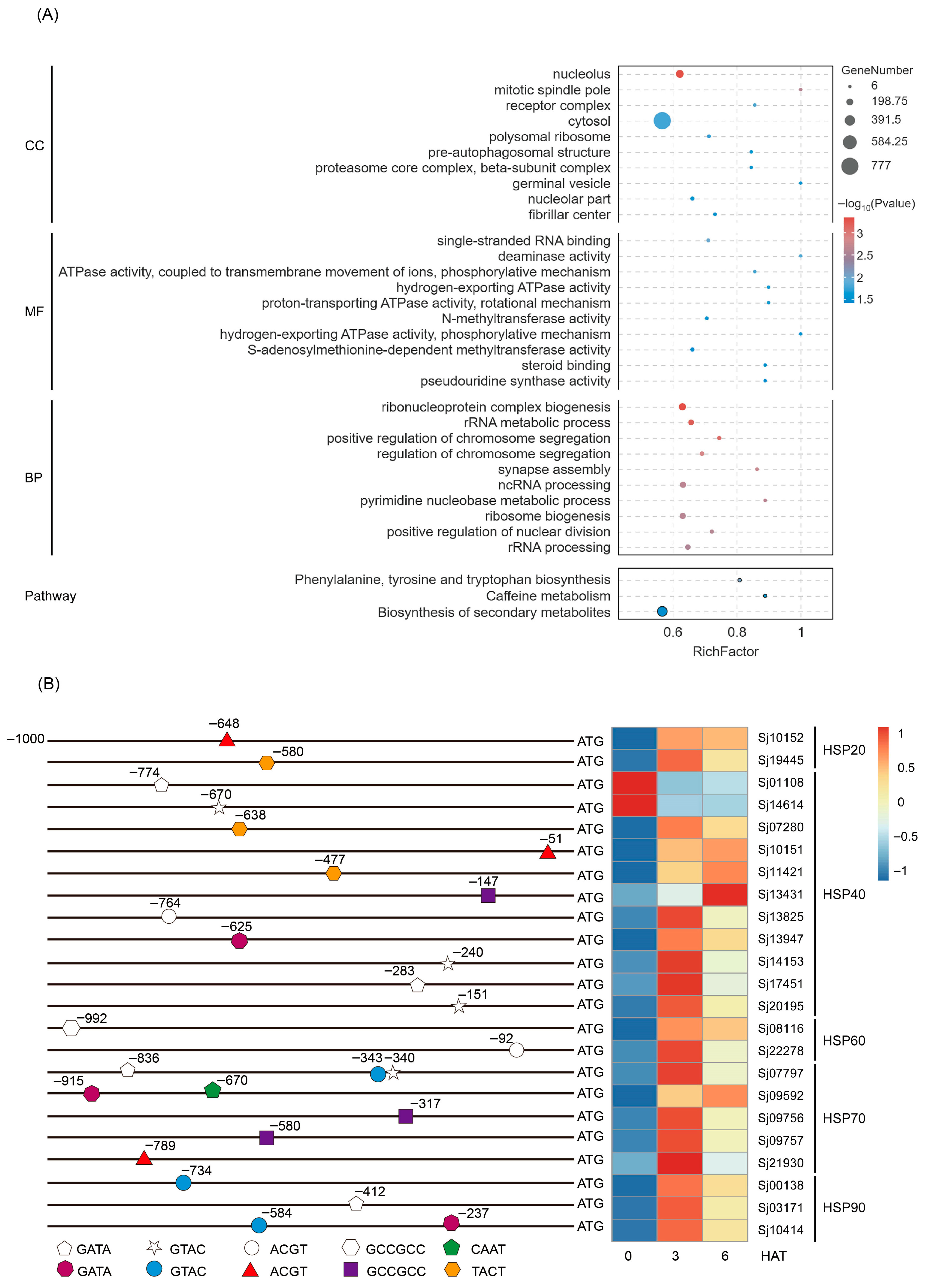 Plants 15 00429 g007 Plants 15 00429 g007