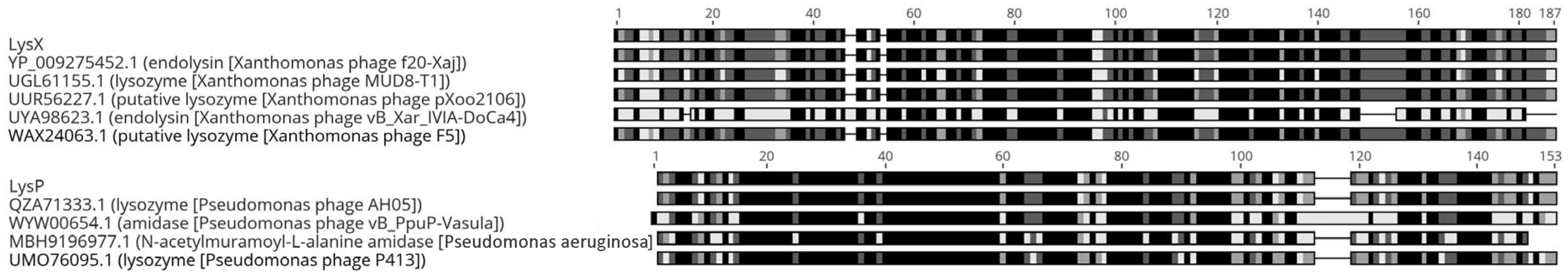 Plants 15 00431 g001 Plants 15 00431 g001