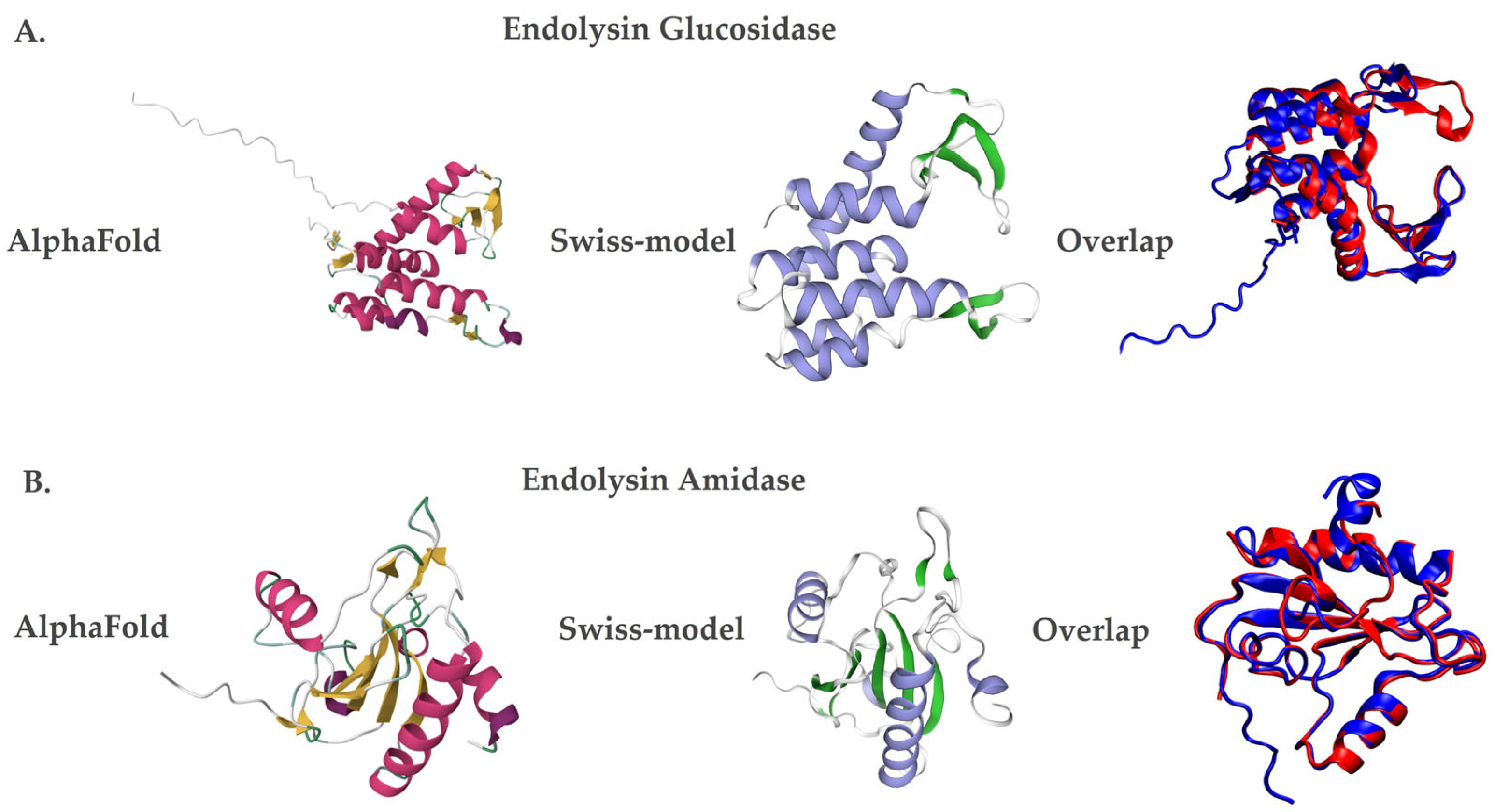 Plants 15 00431 g002 Plants 15 00431 g002