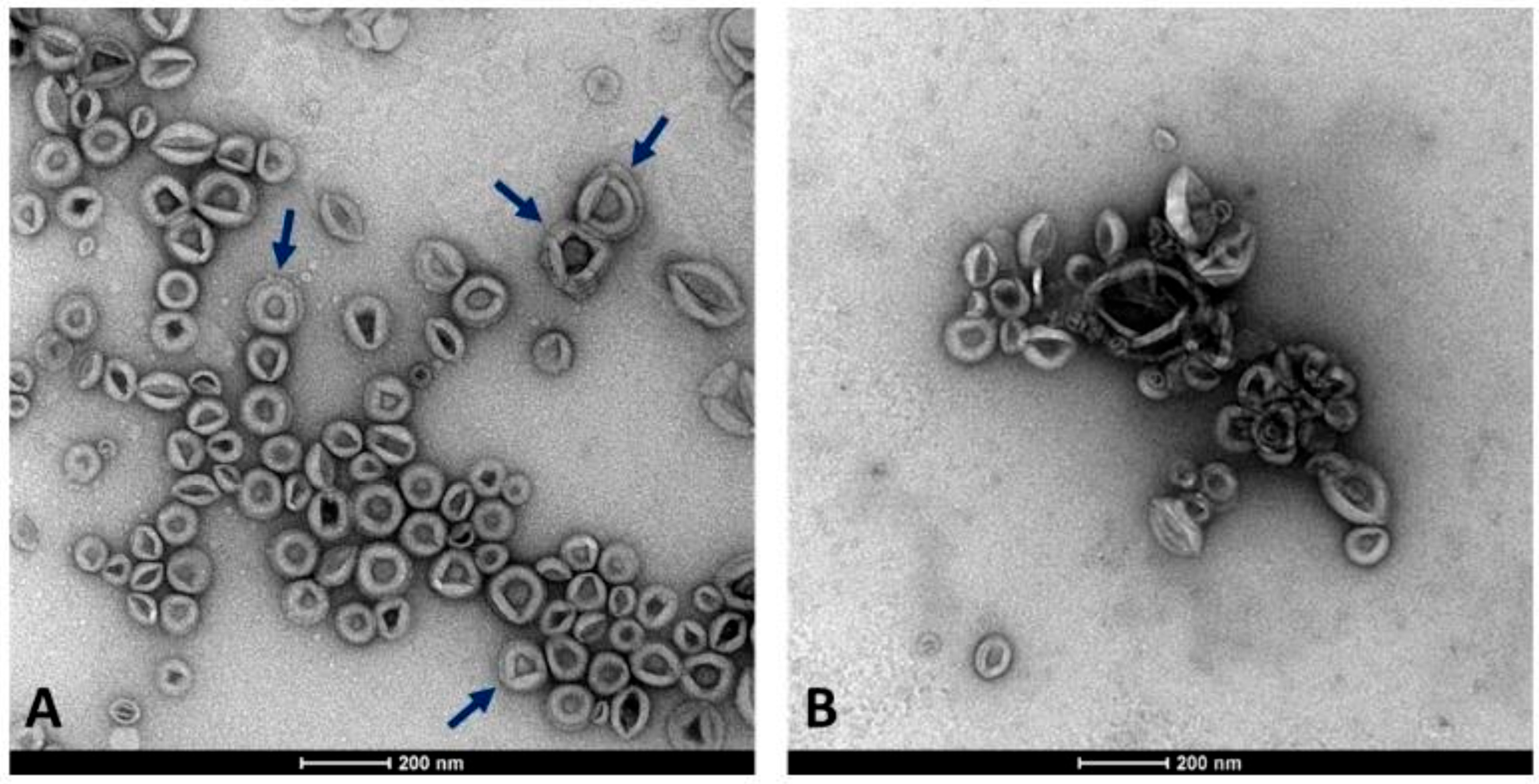 Plants 15 00439 g001 Plants 15 00439 g001