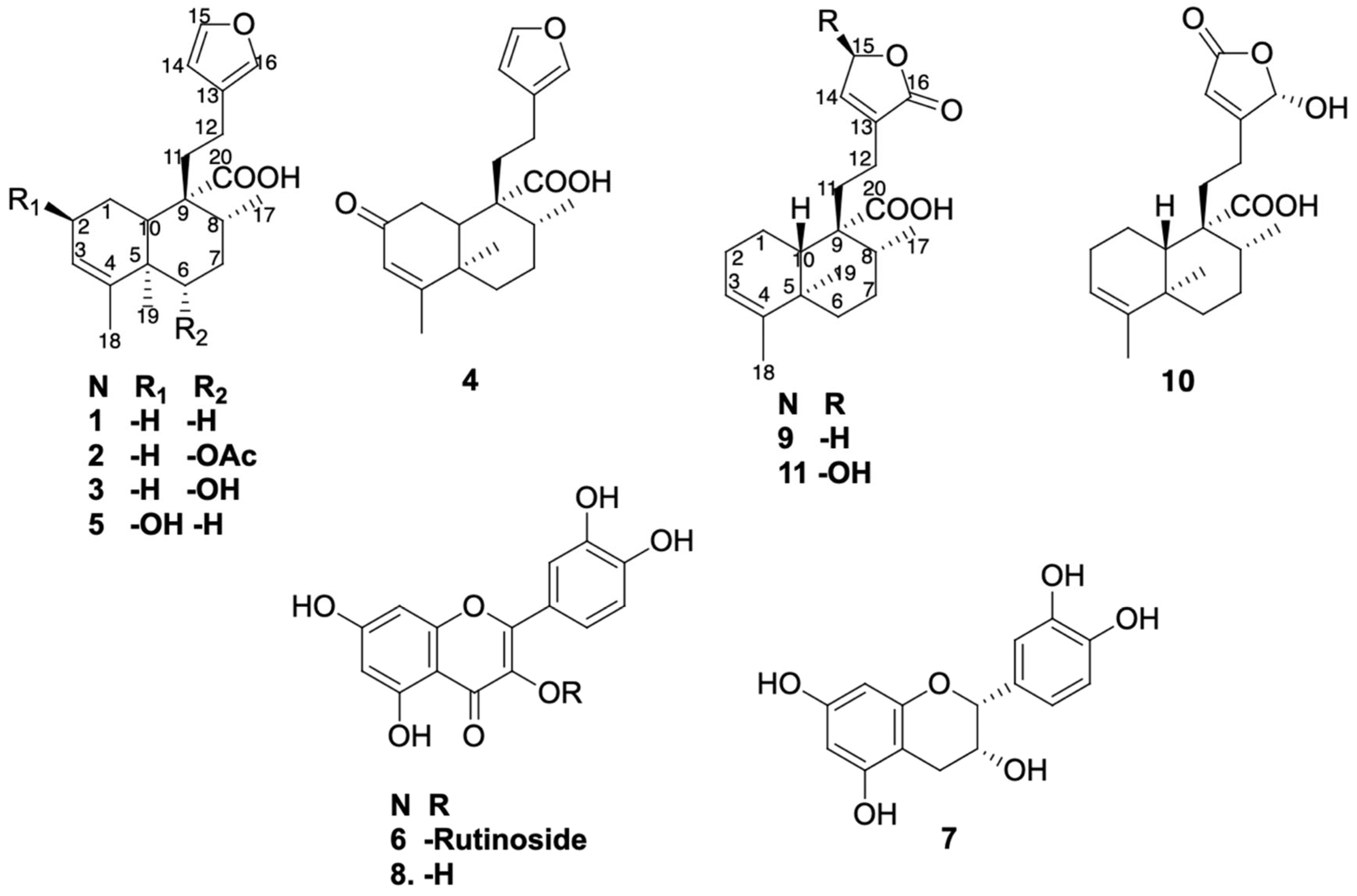 Plants 15 00442 g001 Plants 15 00442 g001