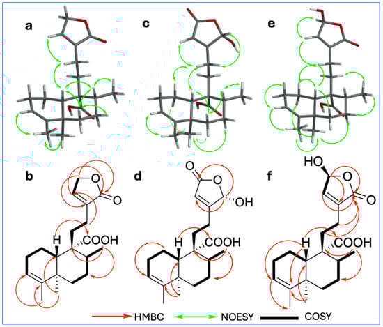 Plants 15 00442 g002