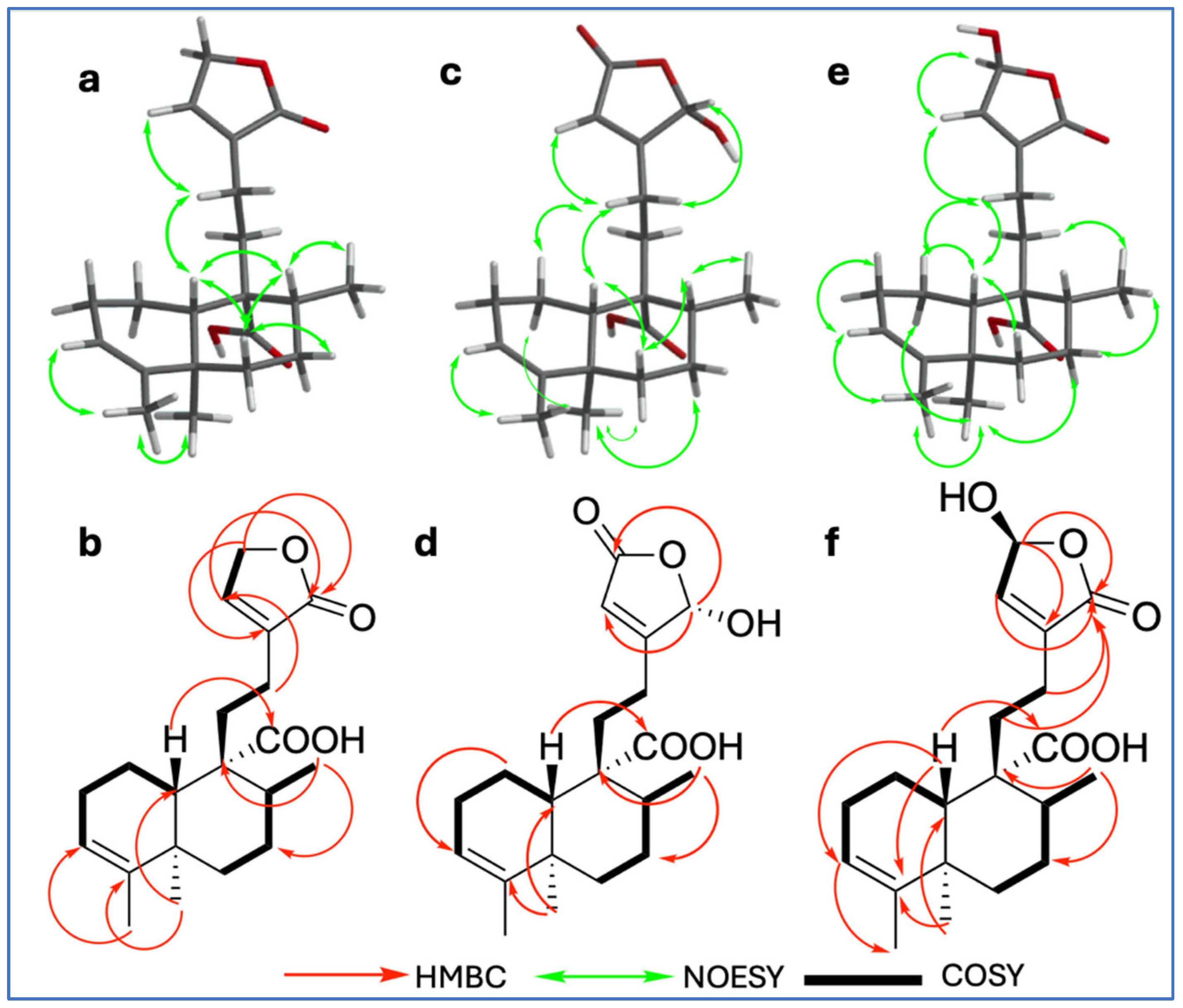 Plants 15 00442 g002 Plants 15 00442 g002